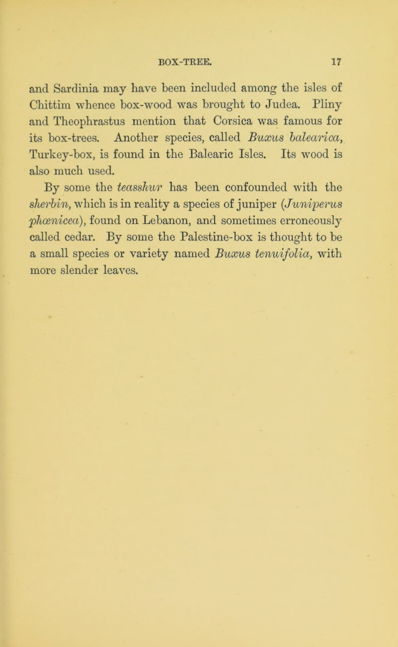 and Sardinia may have been included among the isles of Chittim whence box-wood was brought to Judea. Pliny and Theophrastus mention that Corsica was famous for its box-trees. Another species, called Buxus balearica, Turkey-box, is found in the Balearic Isles. Its wood is also much used. By some the tecisshuv has been confounded with the sherbin, which is in reality a species of juniper (.Junipevus phcenicea), found on Lebanon, and sometimes erroneously called cedar. By some the Palestine-box is thought to be a small species or variety named Buxus tenuifolia, with more slender leaves.