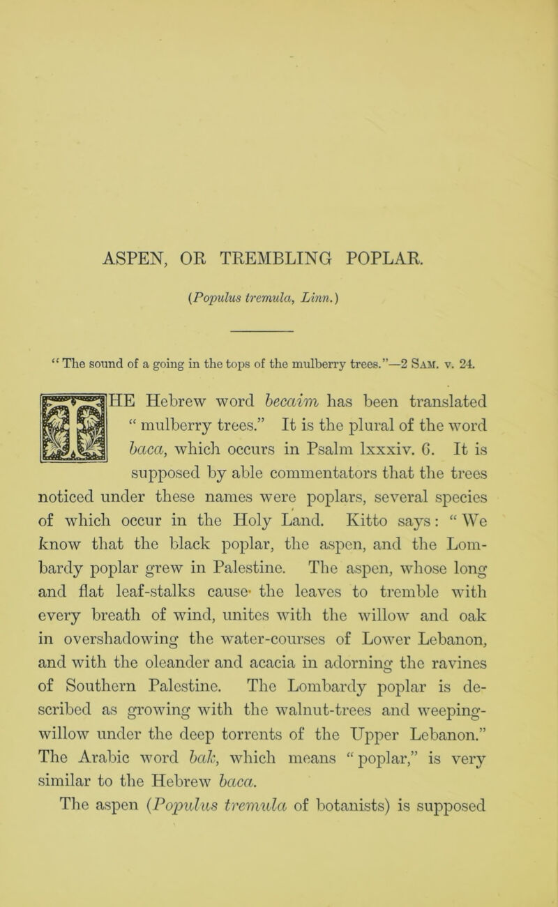 (Populus tremula, Linn.) “ The sound of a going in the tops of the mulberry trees.”—2 Sam. v. 24. HE Hebrew word becaim has been translated “ mulberry trees.” It is the plural of the word bacci, which occurs in Psalm lxxxiv. C. It is supposed by able commentators that the trees noticed under these names were poplars, several species of which occur in the Holy Land. Kitto says: “ We know that the black poplar, the aspen, and the Lom- bardy poplar grew in Palestine. The aspen, whose long and flat leaf-stalks cause' the leaves to tremble with every breath of wind, unites with the willow and oak in overshadowing the water-courses of Lower Lebanon, and with the oleander and acacia in adorning the ravines of Southern Palestine. The Lombardy poplar is de- scribed as growing with the walnut-trees and weeping- willow under the deep torrents of the Upper Lebanon.” The Arabic word bale, which means “ poplar,” is very similar to the Hebrew baca. The aspen (Populus tremula of botanists) is supposed