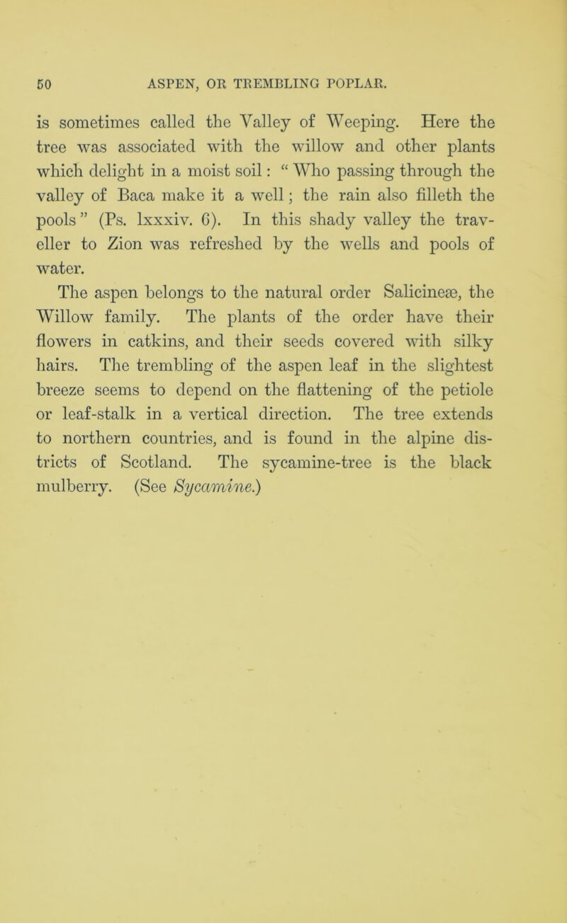 is sometimes called the Valley of Weeping. Here the tree was associated with the willow and other plants which delight in a moist soil: “ Who passing through the valley of Baca make it a well; the rain also filleth the pools ” (Ps. lxxxiv. G). In this shady valley the trav- eller to Zion was refreshed by the wells and pools of water. The aspen belongs to the natural order Salicinese, the Willow family. The plants of the order have their flowers in catkins, and their seeds covered with silky hairs. The trembling of the aspen leaf in the slightest breeze seems to depend on the flattening of the petiole or leaf-stalk in a vertical direction. The tree extends to northern countries, and is found in the alpine dis- tricts of Scotland. The sycamine-tree is the black mulberry. (See Sycamine.)