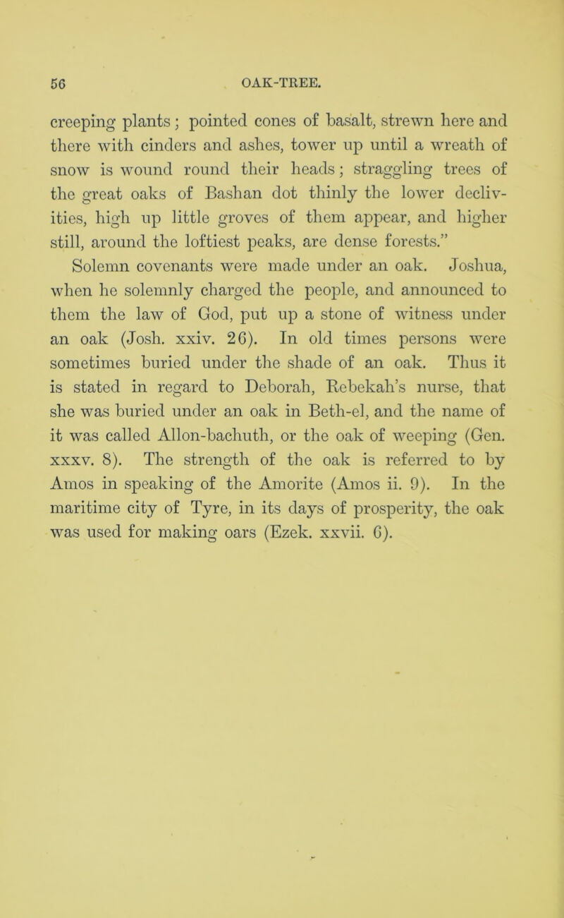 creeping plants ; pointed cones of basalt, strewn here and there with cinders and ashes, tower up until a wreath of snow is wound round their heads; straggling trees of the great oaks of Bashan dot thinly the lower decliv- ities, high up little groves of them appear, and higher still, around the loftiest peaks, are dense forests.” Solemn covenants were made under an oak. Joshua, when ho solemnly charged the people, and announced to them the law of God, put up a stone of witness under an oak (Josh. xxiv. 2G). In old times persons were sometimes buried under the shade of an oak. Thus it is stated in regard to Deborah, Rcbekah’s nurse, that she was buried under an oak in Beth-el, and the name of it was called Allon-bachuth, or the oak of weeping (Gen. xxxv. 8). The strength of the oak is referred to by Amos in speaking of the Amorite (Amos ii. 9). In the maritime city of Tyre, in its days of prosperity, the oak was used for making oars (Ezek. xxvii. G).
