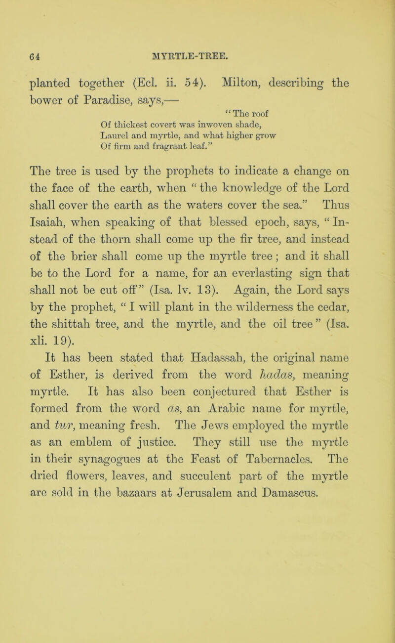 planted together (Eel. ii. 54). Milton, describing the bower of Paradise, says,— “ The roof Of thickest covert was inwoven shade. Laurel and myrtle, and what higher grow Of firm and fragrant leaf.” The tree is used by the prophets to indicate a change on the face of the earth, when “ the knowledge of the Lord shall cover the earth as the waters cover the sea.” Thus Isaiah, when speaking of that blessed epoch, says, “ In- stead of the thorn shall come up the fir tree, and instead of the brier shall come up the myrtle tree; and it shall be to the Lord for a name, for an everlasting sign that shall not be cut off” (Isa. lv. 13). Again, the Lord says by the prophet, “ I will plant in the wilderness the cedar, the shittah tree, and the myrtle, and the oil tree ” (Isa. xli. 19). It has been stated that Hadassah, the original name of Esther, is derived from the word haclas, meaning myrtle. It has also been conjectured that Esther is formed from the word as, an Arabic name for myrtle, and tur, meaning fresh. The Jews employed the myrtle as an emblem of justice. They still use the myrtle in their synagogues at the Feast of Tabernacles. The dried flowers, leaves, and succulent part of the myrtle are sold in the bazaars at Jerusalem and Damascus.