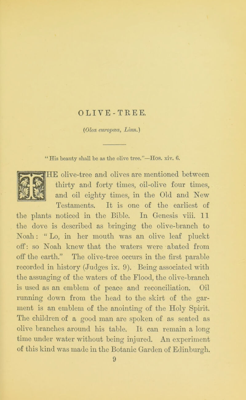 OLIVE-TREE. (Olea europcm, Linn.) “ His beauty shall be as the olive tree.”—Hos. xiv. G. HE olive-tree ancl olives are mentioned between thirty and forty times, oil-olive four times, and oil eighty times, in the Old and New Testaments. It is one of the earliest of the plants noticed in the Bible. In Genesis viii. 11 the dove is described as bringing the olive-branch to Noah: “ Lo, in her mouth was an olive leaf pluckt oft’: so Noah knew that the waters were abated from off the earth.” The olive-tree occurs in the first parable recorded in history (Judges ix. 9). Being associated with the assuaging of the waters of the Flood, the olive-branch is used as an emblem of peace and reconciliation. Oil running down from the head to the skirt of the gar- ment is an emblem of the anointing of the Holy Spirit. The children of a good man are spoken of as seated as olive branches around his table. It can remain a long time under water without being injured. An experiment of this kind was made in the Botanic Garden of Edinburgh.