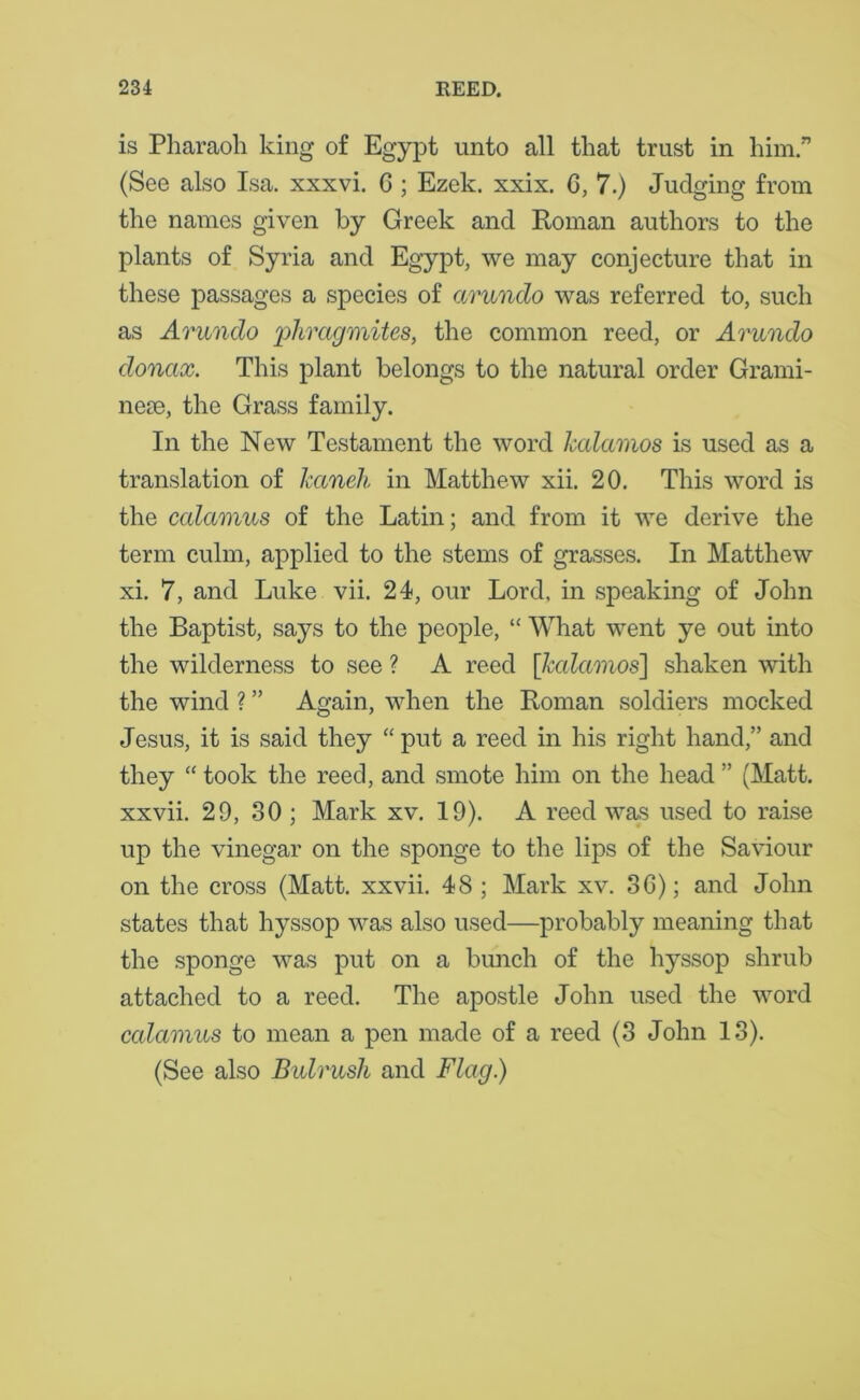 is Pharaoh king of Egypt unto all that trust in him.” (See also Isa. xxxvi. G ; Ezek. xxix. 6,7.) Judging from the names given by Greek and Roman authors to the plants of Syria and Egypt, we may conjecture that in these passages a species of arundo was referred to, such as Arundo phragmites, the common reed, or Arundo donax. This plant belongs to the natural order Grami- nese, the Grass family. In the New Testament the word Tcalamos is used as a translation of Jcaneh in Matthew xii. 20. This word is the calamus of the Latin; and from it we derive the term culm, applied to the stems of grasses. In Matthew xi. 7, and Luke vii. 24, our Lord, in speaking of John the Baptist, says to the people, “ What went ye out into the wilderness to see ? A reed [Jcalamos] shaken with the wind ? ” Again, when the Roman soldiers mocked Jesus, it is said they “ put a reed in his right hand,” and they “ took the reed, and smote him on the head ” (Matt, xxvii. 29, 30 ; Mark xv. 19). A reed was used to raise up the vinegar on the sponge to the lips of the Saviour on the cross (Matt, xxvii. 48 ; Mark xv. 36); and John states that hyssop was also used—probably meaning that the sponge was put on a bunch of the hyssop shrub attached to a reed. The apostle John used the word calamus to mean a pen made of a reed (3 John 13). (See also Bulrush and Flag.)