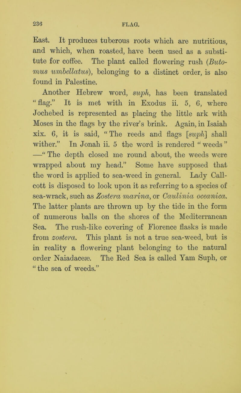 East. It produces tuberous roots which are nutritious, and which, when roasted, have been used as a substi- tute for coffee. The plant called flowering rush (Buto- mus umbellatus), belonging to a distinct order, is also found in Palestine. Another Hebrew word, suph, has been translated “flag.” It is met with in Exodus ii. 5, 6, where Jochebed is represented as placing the little ark with Moses in the flags by the river’s brink. Again, in Isaiah xix. C, it is said, “ The reeds and flags [suph] shall wither.” Tn Jonah ii. 5 the word is rendered “ weeds ” —“ The depth closed me round about, the weeds were wrapped about my head.” Some have supposed that the word is applied to sea-weed in general. Lady Call- cott is disposed to look upon it as referring to a species of sea-wrack, such as Zostera marina, or Caulinia oceanica. The latter plants are thrown up by the tide in the form of numerous balls on the shores of the Mediterranean Sea. The rush-like covering of Florence flasks is made from zostera. This plant is not a true sea-weed, but is in reality a flowering plant belonging to the natural order Naiadacete. The Red Sea is called Yam Suph, or “ the sea of weeds.”