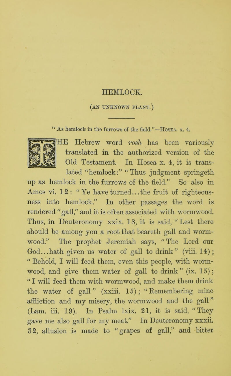 HEMLOCK. (an unknown plant.) “ As hemlock in the furrows of the field. Hosea. x. 4. E Hebrew word rosh lias been variously translated in the authorized version of the Old Testament. In Hosea x. 4, it is trans- lated “hemlock:” “Thus judgment springeth up as hemlock in the furrows of the field.” So also in Amos vi. 12 : “Ye have turned... the fruit of righteous- ness into hemlock.” In other passages the word is rendered “ gall,” and it is often associated with wormwood. Thus, in Deuteronomy xxix. 18, it is said, “Lest there should be among you a root that beareth gall and worm- wood.” The prophet Jeremiah says, “ The Lord our God...hath given us water of gall to drink” (viii. 14); “ Behold, I will feed them, even this people, with worm- wood, and give them water of gall to drink” (ix. 15); “ I will feed them with wormwood, and make them drink the water of gall” (xxiii. 15); “Remembering mine affliction and my misery, the wormwood and the gall ” (Lam. iii. 19). In Psalm lxix. 21, it is said, “They gave me also gall for my meat.” In Deuteronomy xxxii. 32, allusion is made to “grapes of gall,” and bitter