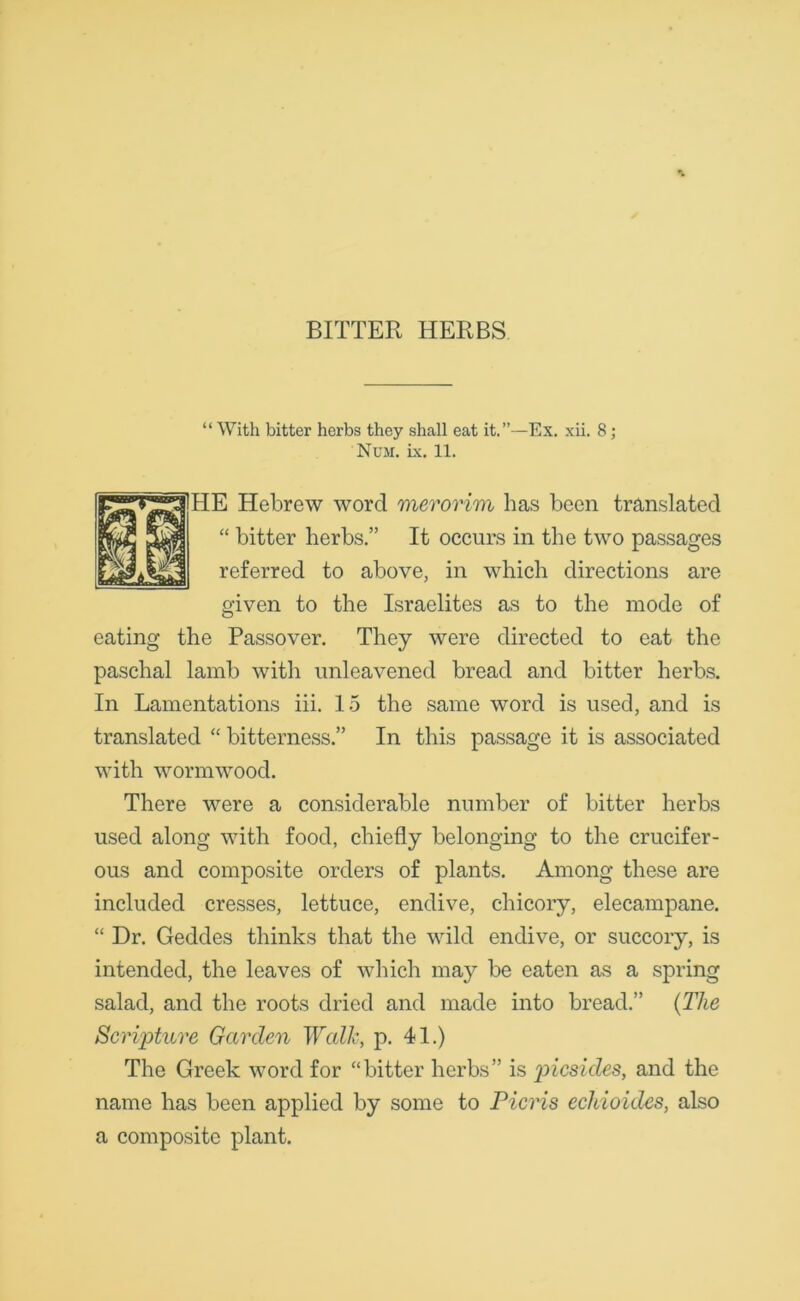 BITTER HERBS “ With bitter herbs they shall eat it.”—Ex. xii. 8; Num. ix. 11. Hebrew word merorim has been translated bitter herbs.” It occurs in the two passages eferred to above, in which directions are given to the Israelites as to the mode of eating the Passover. They were directed to eat the paschal lamb with unleavened bread and bitter herbs. In Lamentations iii. 15 the same word is used, and is translated “ bitterness.” In this passage it is associated with wormwood. There were a considerable number of bitter herbs used along with food, chiefly belonging to the crucifer- ous and composite orders of plants. Among these are included cresses, lettuce, endive, chicory, elecampane. “ Dr. Geddes thinks that the wild endive, or succory, is intended, the leaves of which may be eaten as a spring salad, and the roots dried and made into bread.” (The Scripture Garden Walk, p. 41.) The Greek word for “bitter herbs” is picsides, and the name has been applied by some to Picris echioides, also a composite plant.