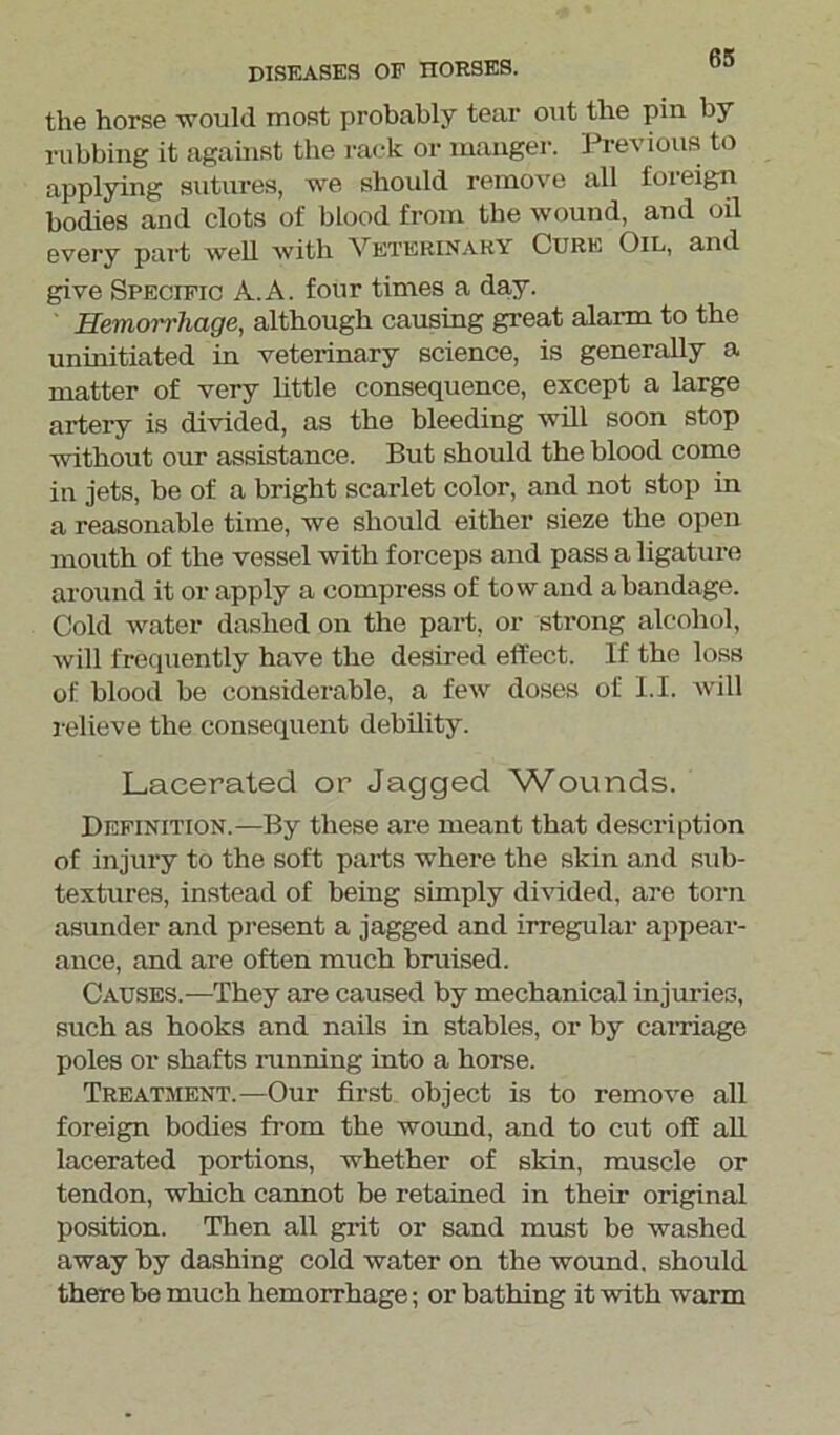 DISEASES OF HORSES. the horse would most probably tear out the pin by rubbing it against the rack or manger. Previous to applying sutures, we should remove all foreign bodies and clots of blood from the wound, and oil every part well with Veterinary Cure Oil, and give Specific A.A. four times a day. Hemorrhage, although causing great alarm to the uninitiated in veterinary science, is generally a matter of very little consequence, except a large artery is divided, as the bleeding will soon stop without our assistance. But should the blood come in jets, be of a bright scarlet color, and not stop in a reasonable time, we should either sieze the open mouth of the vessel with forceps and pass a ligature around it or apply a compress of tow and a bandage. Cold water dashed on the part, or strong alcohol, will frequently have the desired effect. If the loss of blood be considerable, a few doses of 1.1. will relieve the consequent debility. Lacerated or Jagged Wounds. Definition.—By these are meant that description of injury to the soft parts where the skin and sub- textures, instead of being simply divided, are torn asunder and present a jagged and irregular appear- ance, and are often much bruised. Causes.—They are caused by mechanical injuries, such as hooks and nails in stables, or by carnage poles or shafts running into a horse. Treatment.—Our first object is to remove all foreign bodies from the wound, and to cut off all lacerated portions, whether of skin, muscle or tendon, which cannot be retained in their original position. Then all grit or sand must be washed away by dashing cold water on the wound, should there be much hemorrhage; or bathing it with warm