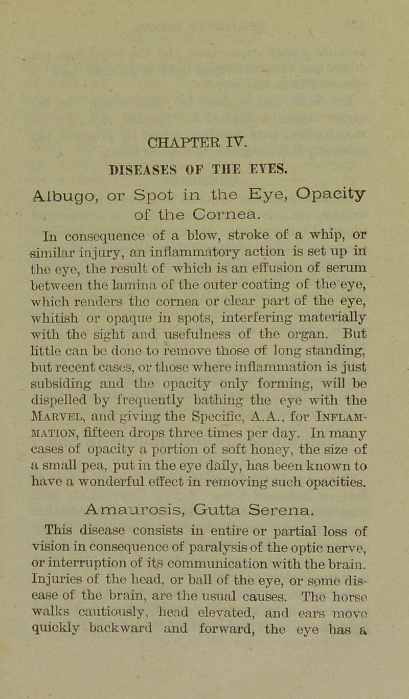 DISEASES OF THE EYES. Albugo, or Spot in the Eye, Opacity of the Cornea. In consequence of a blow, stroke of a whip, or similar injury, an inflammatory action is set up in the eye, the result of which is an effusion of serum between the lamina of the outer coating of the eye, which renders the cornea or clear part of the eye, whitish or opaque in spots, interfering materially with the sight and usefulness of the organ. But little can be done to remove those of long standing, but recent cases, or those where inflammation is just subsiding and the opacity only forming, will be dispelled by frequently batldng the eye with the Marvel, and giving the Specific, A.A., for Inflam- mation, fifteen drops three times per day. In many cases of opacity a portion of soft honey, the size of a small pea, put in the eye daily, has been known to have a wonderful effect in removing such opacities. Amaurosis, Gutta Serena. This disease consists in entire or partial loss of vision in consequence of paralysis of the optic nerve, or interruption of its communication with the brain. Injuries of the head, or ball of the eye, or some dis- ease of the brain, are the usual causes. The horse walks cautiously, head elevated, and ears move quickly backward and forward, the eye has a