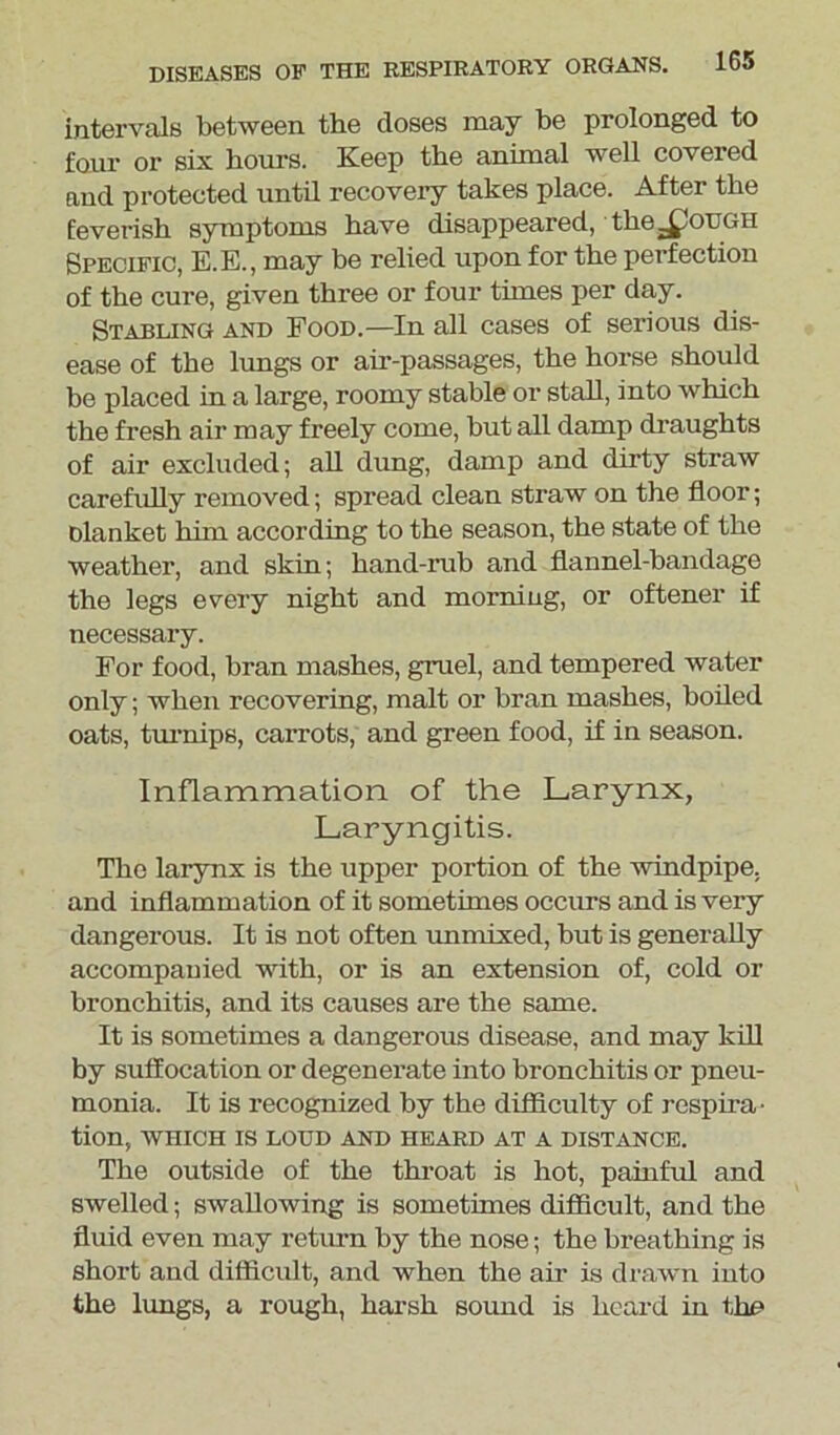 intervals between the doses may be prolonged to four or six hours. Keep the animal well covered and protected until recovery takes place. After the feverish symptoms have disappeared, the _£ohgh Specific, E.E., may be relied upon for the perfection of the cure, given three or four times per day. Stabling and Food.—In all cases of serious dis- ease of the lungs or air-passages, the horse should be placed in a large, roomy stable or stall, into which the fresh air may freely come, but all damp draughts of air excluded; all dung, damp and dirty straw carefully removed; spread clean straw on the floor; blanket him according to the season, the state of the weather, and skin; hand-rub and flannel-bandage the legs every night and morning, or oftener if necessary. For food, bran mashes, gruel, and tempered water only; when recovering, malt or bran mashes, boiled oats, turnips, carrots, and green food, if in season. Inflammation of the Larynx, Laryngitis. The larynx is the upper portion of the windpipe, and inflammation of it sometimes occurs and is very dangerous. It is not often unmixed, but is generally accompanied with, or is an extension of, cold or bronchitis, and its causes are the same. It is sometimes a dangerous disease, and may kill by suffocation or degenerate into bronchitis or pneu- monia. It is recognized by the difficulty of respira • tion, WHICH IS LOUD AND HEARD AT A DISTANCE. The outside of the throat is hot, painful and swelled; swallowing is sometimes difficult, and the fluid even may return by the nose; the breathing is short and difficult, and when the air is drawn into the lungs, a rough, harsh sound is heard in the