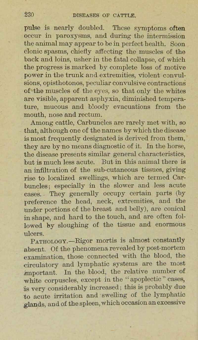 pulse is nearly doubled. Those symptoms often occur in paroxysms, and during the intermission the animal may appear to he in perfect health. Soon clonic spasms, chiefly affecting the muscles of the back and loins, usher in the fatal collapse, of which the progress is marked by complete loss of motive power in the trunk and extremities, violent convul- sions, opisthotonos, peculiar convulsive contractions of the muscles of the eyes, so that only the whites are visible, apparent asphyxia, diminished tempera- ture, mucous and bloody evacuations from the mouth, nose and rectum. Among cattle, Carbuncles are rarely met with, so that, although one of the names by Avhich the disease is most frequently designated is derived from them, they are by no means diagnostic of it. In the horse, the disease presents similar general characteristics, but is much less acute. But in this animal there is an infiltration of the sub-cutaneous tissues, giving rise to localized swellings, which are termed Car- buncles; especially in the slower and less acute cases. They generally occupy certain parts (by preference the head, neck, extremities, and the under portions of the breast and belly), are conical in shape, and hard to the touch, and are often fol- lowed by sloughing of the tissue and enormous ulcers. Pathology.—Eigor mortis is almost constantly absent. Of the phenomena revealed by post-mortem examination, those connected with the blood, the circulatory and lymphatic systems are the most important. In the blood, the relative number of white corpuscles, except in the “apoplectic” cases, is very considerably increased; this is probably due to acute irritation and swelling of the lymphatic .glands, and of the spleen, which occasion an excessive