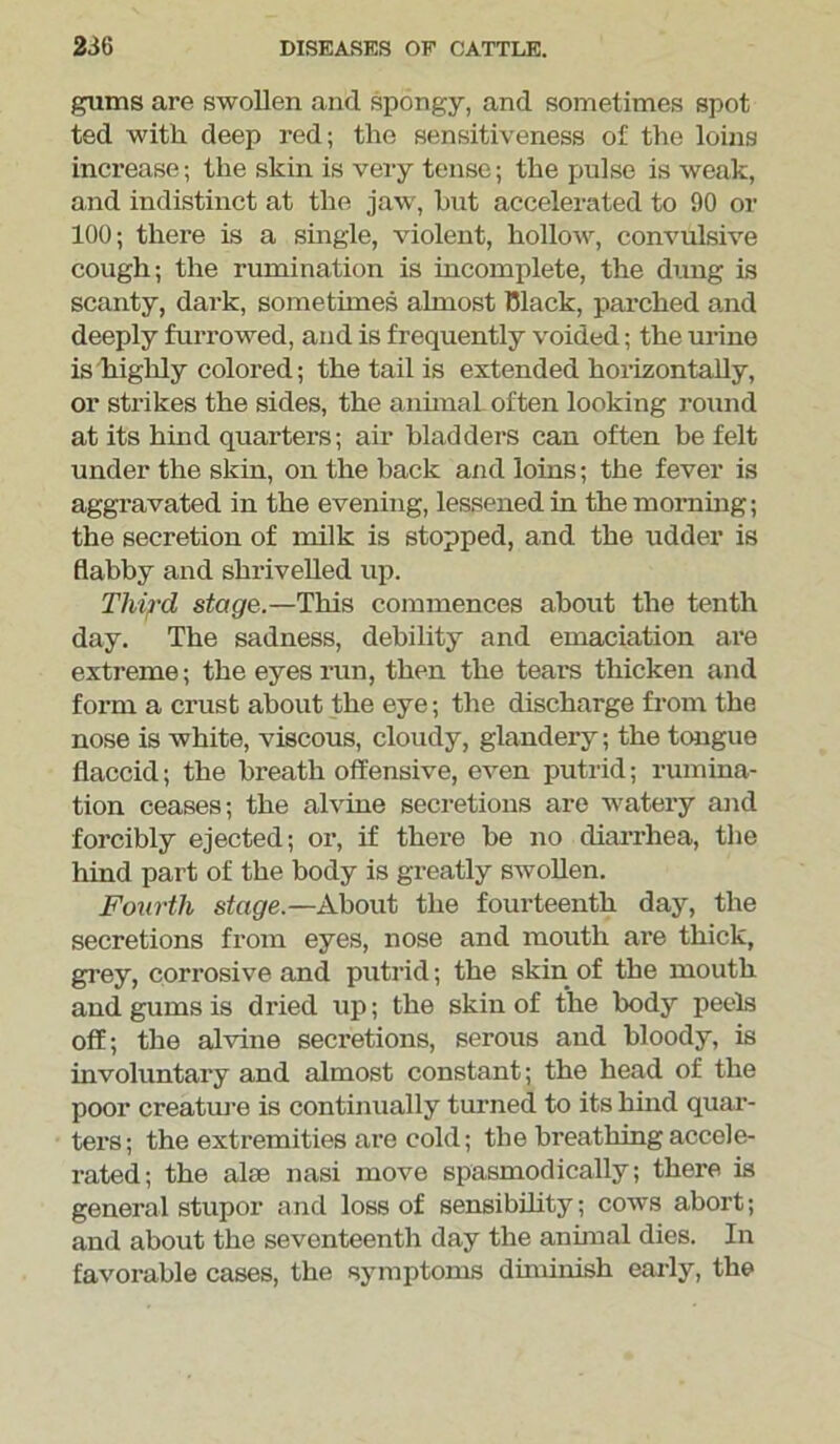 gums are swollen and spongy, and sometimes spot ted with deep red; the sensitiveness of the loins increase; the skin is very tense; the pulse is weak, and indistinct at the jaw, hut accelerated to 90 or 100; there is a single, violent, hollow, convulsive cough; the rumination is incomplete, the dung is scanty, dark, sometimes almost Black, parched and deeply furrowed, and is frequently voided; the urine is highly colored; the tail is extended horizontally, or sti'ikes the sides, the animal often looking round at its hind quarters; air bladders can often be felt under the skin, on the back and loins; the fever is aggravated in the evening, lessened in the morning; the secretion of milk is stopped, and the udder is flabby and shrivelled up. Third stage.—This commences about the tenth day. The sadness, debility and emaciation ai’e extreme; the eyes run, then the tears thicken and form a crust about the eye; the discharge from the nose is white, viscous, cloudy, glandery; the tongue flaccid; the breath offensive, even putrid; rumina- tion ceases; the alvine secretions are watery and forcibly ejected; or, if there be no diarrhea, the hind part of the body is greatly swollen. Fourth stupe.—About the fourteenth day, the secretions from eyes, nose and mouth are thick, grey, corrosive and putrid; the skin of the mouth and gums is dried up; the skin of the body peels off; the alvine secretions, serous and bloody, is involuntary and almost constant; the head of the poor creature is continually turned to its hind quar- ters; the extremities are cold; the breathing accele- rated; the alee nasi move spasmodically; there is general stupor and loss of sensibility; cows abort; and about the seventeenth day the annual dies. In favorable cases, the symptoms diminish early, the