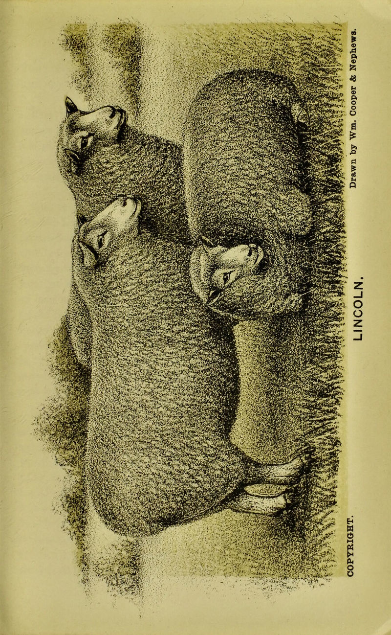 Vv • r:,!> mmm MMs W^PiH *?KT£Ar,' i ipiiggfili^ ■hUH '• «V* «'/ v jf.-»;.v WT-ipf « • j-.V*rfT*i_* T^-17>.• Cv>ii-2<“ VfiR.'Srt. S^iwi