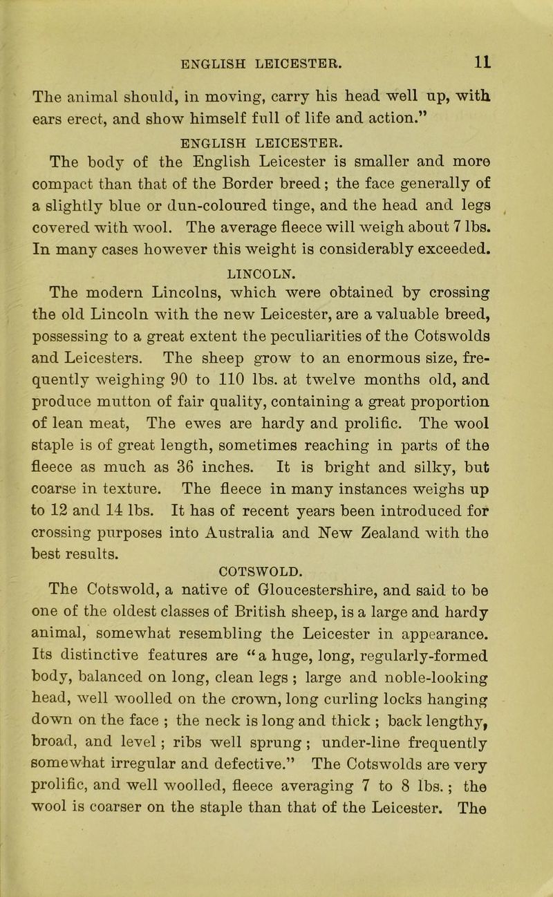 The animal should, in moving, carry his head well up, with ears erect, and show himself full of life and action.” ENGLISH LEICESTER. The body of the English Leicester is smaller and more compact than that of the Border breed; the face generally of a slightly blue or dun-coloured tinge, and the head and legs covered with wool. The average fleece will weigh about 7 lbs. In many cases however this weight is considerably exceeded. LINCOLN. The modern Lincolns, which were obtained by crossing the old Lincoln with the new Leicester, are a valuable breed, possessing to a great extent the peculiarities of the Cotswolds and Leicesters. The sheep grow to an enormous size, fre- quently weighing 90 to 110 lbs. at twelve months old, and produce mutton of fair quality, containing a great proportion of lean meat, The ewes are hardy and prolific. The wool staple is of great length, sometimes reaching in parts of the fleece as much as 36 inches. It is bright and silky, but coarse in texture. The fleece in many instances weighs up to 12 and 14 lbs. It has of recent years been introduced for crossing purposes into Australia and ISTew Zealand with the best results. COTSWOLD. The Cotswold, a native of Gloucestershire, and said to be one of the oldest classes of British sheep, is a large and hardy animal, somewhat resembling the Leicester in appearance. Its distinctive features are “ a huge, long, regularly-formed body, balanced on long, clean legs ; large and noble-looking head, well woolled on the crown, long curling locks hanging down on the face ; the neck is long and thick ; back lengthy, broad, and level; ribs well sprung ; under-line frequently somewhat irregular and defective.” The Cotswolds are very prolific, and well woolled, fleece averaging 7 to 8 lbs.; the wool is coarser on the staple than that of the Leicester. The