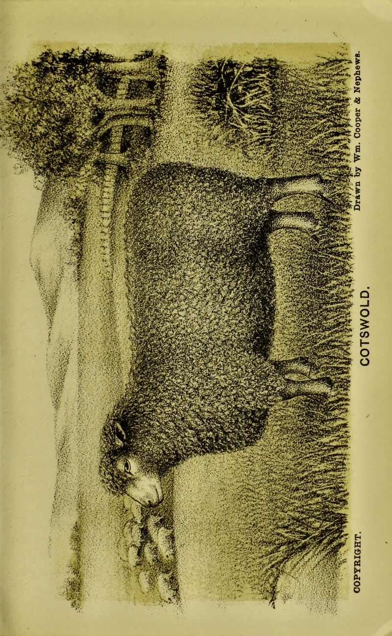 rxigmmm mm H '^Si«syJ§fe| 4&*i£SS9K