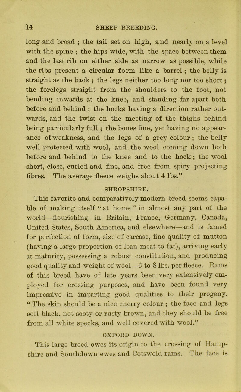 long and broad ; the tail set on high, and nearly on a level with the spine ; the hips wide, with the space between them and the last rib on either side as narrow as possible, while the ribs present a circular form like a barrel ; the belly is straight as the back ; the legs neither too long nor too short; the forelegs straight from the shoulders to the foot, not bending inwards at the knee, and standing far apart both before and behind ; the hocks having a direction rather out- wards, and the twist on the meeting of the thighs behind being particularly full; the bones fine, yet having no appear- ance of weakness, and the legs of a grey colour ; the belly well protected with wool, and the wool coming down both before and behind to the knee and to the hock ; the wool short, close, curled and fine, and free from spiry projecting fibres. The average fleece weighs about 4 lbs.” SHROPSHIRE. This favorite and comparatively modern breed seems capa- ble of making itself “ at home ” in almost any part of the world—flourishing in Britain, France, Germany, Canada, United States, South America, and elsewhere—and is famed for perfection of form, size of carcase, fine quality of mutton (having a large proportion of lean meat to fat), arriving early at maturity, possessing a robust constitution, and producing good quality and weight of wool—6 to 8 lbs. per fleece. Rams of this breed have of late years been very extensively em- ployed for crossing purposes, and have been found very impressive in imparting good qualities to their progeny. “ The skin should be a nice cherry colour ; the face and legs soft black, not sooty or rusty brown, and they should be free from all white specks, and well covered with wool.” OXFORD DOWN. This large breed owes its origin to the crossing of Hamp- shire and Southdown ewes and Cotswold rams. The face is