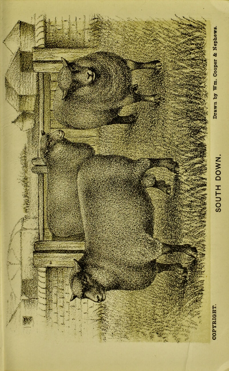 ^J^lf^>.»><•■ V'V.; b&£&ja»3%fe Mgte S&aig Wk Plgpi fe-4s5f^a>gfeag . s' - -~* si?;-£-•>?<-i^ttcAjD as£& HfiSH liilSili llpJSill fltpti yh&saiS s? llte^igip MM mm@ *m^m &t£tl s+^vJ’S: ®«S®e fi r'v- *3cf--f^>i p'm*®! sfcsg^ HI i^Mp inPi^i S&rKY* -•-V^V'r'v] >:»t?*»i rA>'f«- r-fw'tfS fWmmt' \&te-?.At!:u'3* n IS p. -fc <8 f-4 © p. o O o a £ t» ,Q P I u Q Z £ o 0 1 h- 3 O CO Eh w o K-l e (h o o