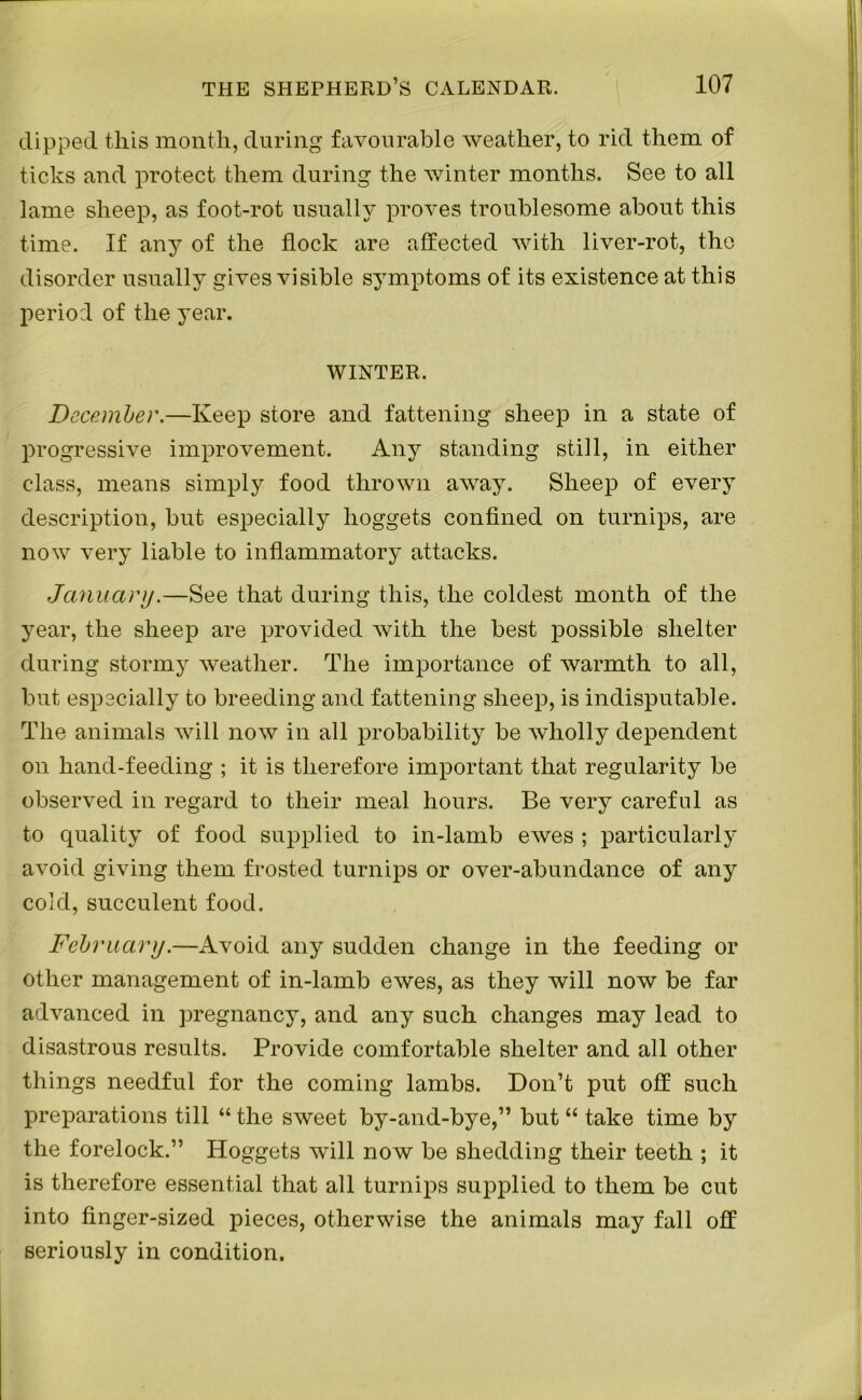 dipped this month, during favourable weather, to rid them of ticks and protect them during the winter months. See to all lame sheep, as foot-rot usually proves troublesome about this time. If any of the flock are affected with liver-rot, the disorder usually gives visible symptoms of its existence at this period of the year. WINTER. December.—Keep store and fattening sheep in a state of progressive improvement. Any standing still, in either class, means simply food thrown away. Sheep of every description, but especially hoggets confined on turnips, are now very liable to inflammatory attacks. January.—See that during this, the coldest month of the year, the sheep are provided with the best possible shelter during stormy weather. The importance of warmth to all, but especially to breeding and fattening sheep, is indisputable. The animals will now in all probability be wholly dependent on hand-feeding ; it is therefore important that regularity be observed in regard to their meal hours. Be very careful as to quality of food supplied to in-lamb ewes ; particularly avoid giving them frosted turnips or over-abundance of any cold, succulent food. February.—Avoid any sudden change in the feeding or other management of in-lamb ewes, as they will now be far advanced in pregnancy, and any such changes may lead to disastrous results. Provide comfortable shelter and all other things needful for the coming lambs. Don’t put off such preparations till “ the sweet by-and-bye,” but “ take time by the forelock.” Hoggets will now be shedding their teeth ; it is therefore essential that all turnips supplied to them be cut into finger-sized pieces, otherwise the animals may fall off seriously in condition.