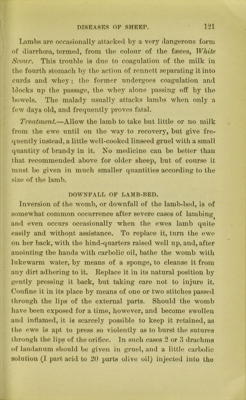 Lambs are occasionally attacked by a very dangerous form of diarrhoea, termed, from the colour of the faeces, White Scour. This trouble is due to coagulation of the milk in the fourth stomach by the action of rennett separating it into curds and whey; the former undergoes coagulation and blocks up the passage, the whey alone passing off by the bowels. The malady usually attacks lambs when only a few days old, and frequently proves fatal. Treatment.—Allow the lamb to take but little or no milk from the ewe until on the way to recovery, but give fre- quently instead, a little well-cooked linseed gruel with a small quantity of brandy in it. No medicine can be better than that recommended above for older sheep, but of course it must be given in much smaller quantities according to the size of the lamb. DOWNFALL OF LAMB-BED. Inversion of the womb, or downfall of the lamb-bed, is of somewhat common occurrence after severe cases of lambing 9 and even occurs occasionally when the ewes lamb quite easily and without assistance. To replace it, turn the ewe on her back, with the hind-quarters raised well up, and, after anointing the hands with carbolic oil, bathe the womb with lukewarm water, by means of a sponge, to cleanse it from any dirt adhering to it. Replace it in its natural position by gently pressing it back, but taking care not to injure it. Confine it in its place by means of one or two stitches passed through the lips of the external parts. Should the womb have been exposed for a time, however, and become swollen and inflamed, it is scarcely possible to keep it retained, as tlie ewe is apt to press so violently as to burst the sutures t hrough the bps of the orifice. In such cases 2 or 3 drachms of laudanum should be given in gruel, and a little carbolic solution (1 part acid to 20 parts olive oil) injected into the