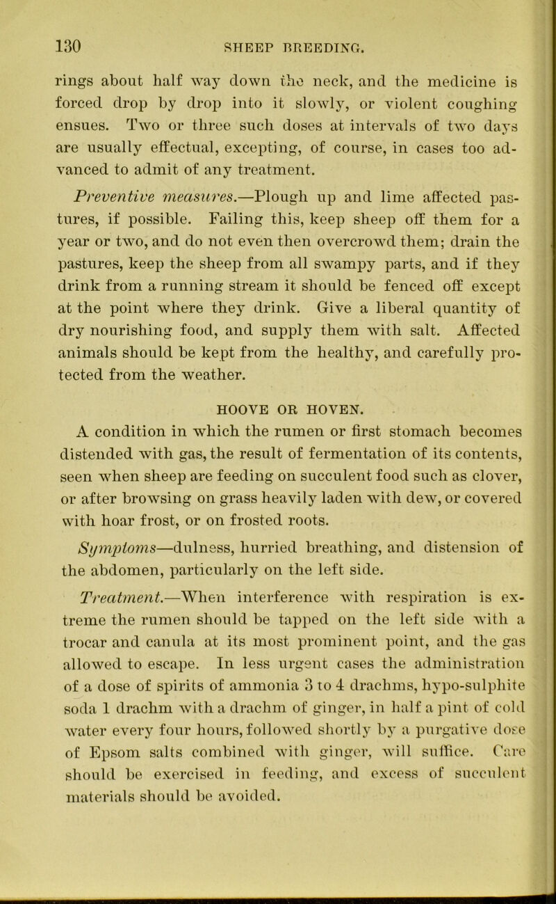 rings about half way down the neck, and the medicine is forced drop by drop into it slowly, or violent coughing ensues. Two or three such doses at intervals of two days are usually effectual, excepting, of course, in cases too ad- vanced to admit of any treatment. Preventive measures.—Plough up and lime affected pas- tures, if possible. Failing this, keep sheep off them for a year or two, and do not even then overcrowd them; drain the pastures, keep the sheep from all swampy parts, and if they drink from a running stream it should be fenced off except at the point where they drink. Give a liberal quantity of dry nourishing food, and supply them with salt. Affected animals should be kept from the healthy, and carefully pro- tected from the weather. HOOVE OR HOVEN. A condition in which the rumen or first stomach becomes distended with gas, the result of fermentation of its contents, seen when sheep are feeding on succulent food such as clover, or after browsing on grass heavily laden with dew, or covered with hoar frost, or on frosted roots. Symj)to7ns—dulness, hurried breathing, and distension of the abdomen, particularly on the left side. Treatment.—When interference with respiration is ex- treme the rumen should be tapped on the left side with a trocar and canula at its most prominent point, and the gas allowed to escape. In less urgent cases the administration of a dose of spirits of ammonia 3 to 4 drachms, hypo-sulpliite soda 1 drachm with a drachm of ginger, in half a pint of cold water every four hours, followed shortly by a purgative dose of Epsom salts combined with ginger, will suffice. Care should be exercised in feeding, and excess of succulent materials should be avoided.