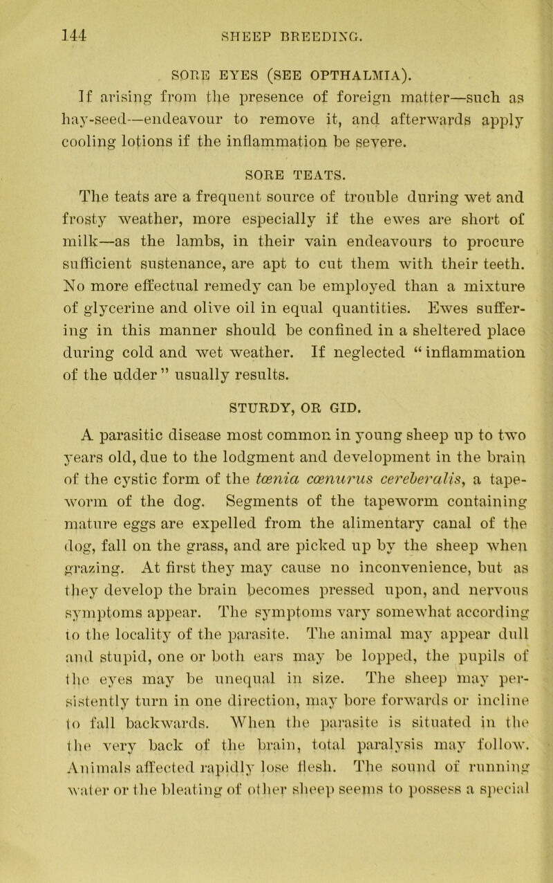 SORE EYES (SEE OPTHALMIA). If arising from the presence of foreign matter—such as hay-seed—endeavour to remove it, and afterwards apply cooling lotions if the inflammation be severe. SORE TEATS. The teats are a frequent source of trouble during wet and frosty weather, more especially if the ewes are short of milk—as the lambs, in their vain endeavours to procure sufficient sustenance, are apt to cut them with their teeth. No more effectual remedy can be employed than a mixture of glycerine and olive oil in equal quantities. Ewes suffer- ing in this manner should be confined in a sheltered place during cold and wet weather. If neglected “ inflammation of the udder” usually results. STURDY, OR GID. A parasitic disease most common in young sheep up to two years old, due to the lodgment and development in the brain of the cystic form of the tcenia co&nurus cereberalis, a tape- worm of the dog. Segments of the tapeworm containing mature eggs are expelled from the alimentary canal of the dog, fall on the grass, and are picked up by the sheep when grazing. At first they may cause no inconvenience, but as they develop the brain becomes pressed upon, and nervous symptoms appear. The symptoms vary somewhat according to the locality of the parasite. The animal may appear dull and stupid, one or both ears may be lopped, the pupils of the eyes may be unequal in size. The sheep may per- sistently turn in one direction, may bore forwards or incline to fall backwards. When the parasite is situated in the the very back of the brain, total paralysis may follow. Animals affected rapidly lose flesh. The sound of running water or the bleating of other sheep seems to possess a special