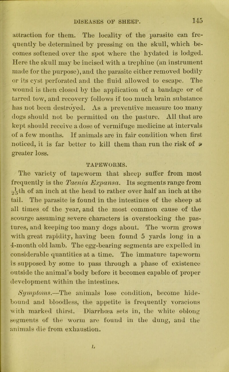 attraction for them. The locality of the parasite can fre- quently be determined by pressing on the skull, which be- comes softened over the spot where the hydated is lodged. Here the skull may be incised with a trephine (an instrument made for the purpose), and the parasite either removed bodily or its cyst perforated and the fluid allowed to escape. The wound is then closed by the application of a bandage or of tarred tow, and recovery follows if too much brain substance has not been destroyed. As a preventive measure too many dogs should not be permitted on the pasture. All that are kept should receive a dose of vermifuge medicine at intervals of a few months. If animals are in fair condition when first noticed, it is far better to kill them than run the risk of & greater loss. TAPEWORMS. The variety of tapeworm that sheep suffer from most frequently is the Taenia Expansa. Its segments range from rAth of an inch at the head to rather over half an inch at the tail. The parasite is found in the intestines of the sheep at all times of the year, and the most common cause of the scourge assuming severe characters is overstocking the pas- tures, and keeping too many dogs about. The worm grows with great rapidity, having been found 5 yards long in a 4-month old lamb. The egg-bearing segments are expelled in considerable quantities at a time. The immature tapeworm is supposed by some to pass through a phase of existence outside the animars body before it becomes capable of proper development within the intestines. Symptoms.—The animals lose condition, become hide- bound and bloodless, the appetite is frequently voracious with marked thirst. Diarrhoea sets in, the white oblong segments of the worm are found in the dung, and the animals die from exhaustion. L