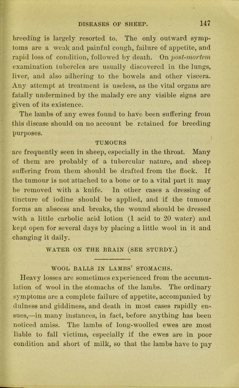 breeding is largely resorted to. The only outward symp- toms are a weak and painful cough, failure of appetite, and rapid loss of condition, followed by death. On post-mortem examination tubercles are usually discovered in the lungs, liver, and also adhering to the bowels and other viscera. Any attempt at treatment is useless, as the vital organs are fatally undermined by the malady ere any visible signs are given of its existence. The lambs of any ewes found to have been suffering from this disease should on no account be retained for breeding purposes. TUMOURS are frequently seen in sheep, especially in the throat. Many of them are probably of a tubercular nature, and sheep suffering from them should be drafted from the flock. If the tumour is not attached to a bone or to a vital part it may be removed with a knife. In other cases a dressing of tincture of iodine should be applied, and if the tumour forms an abscess and breaks, the wound should be dressed with a little carbolic acid lotion (1 acid to 20 water) and kept open for several days by placing a little wool in it and changing it daily. WATER ON THE BRAIN (SEE STURDY.) WOOL BALLS IN LAMBS’ STOMACHS. Heavy losses are sometimes experienced from the accumu- lation of wool in the stomachs of the lambs. The ordinary symptoms are a complete failure of appetite, accompanied by dulness and giddiness, and death in most cases rapidly en- sues,—in many instances, in fact, before anything has been noticed amiss. The lambs of long-woolled ewes are most liable to fall victims, especially if the ewes are in poor condition and short of milk, so that the lambs have to pay