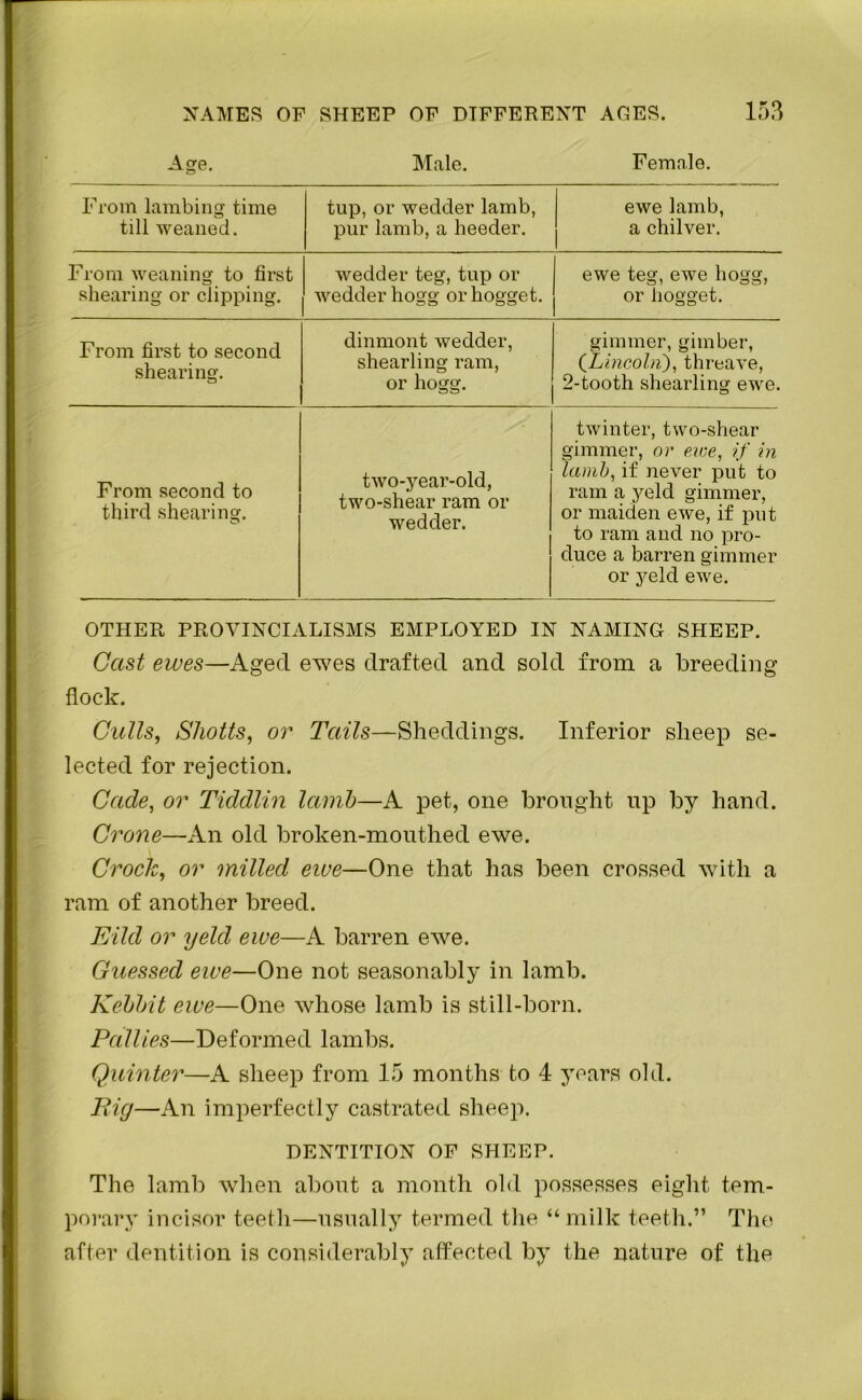 Age. Male. Female. From lambing time till weaned. tup, or wedder lamb, pur lamb, a heeder. ewe lamb, a chilver. From weaning to first shearing or clipping. wedder teg, tup or wedder hogg or hogget. ewe teg, ewe hogg, or hogget. From first to second shearing. dinmont wedder, shearling ram, or hogg. gimmer, gimber, (.Lincoln), threave, 2-tooth shearling ewe. From second to third shearing. o two-year-old, two-shear ram or wedder. twinter, two-shear gimmer, or ewe, if in lamb, if never put to ram a yeld gimmer, or maiden ewe, if put to ram and no pro- duce a barren gimmer or yeld ewe. OTHER PROVINCIALISMS EMPLOYED IN NAMING SHEEP. Cast ewes—Aged ewes drafted and sold from a breeding flock. Calls, Shotts, or Tails—Sheddings. Inferior sheep se- lected for rejection. Cade, or Tiddlin lamb—A pet, one brought up by hand. Crone—An old broken-mouthed ewe. Crock, or milled eive—One that has been crossed with a ram of another breed. Eild or yeld ewe—A barren ewe. Guessed ewe—One not seasonably in lamb. Kebbit ewe—One whose lamb is still-born. Pa11ies—Deformed lambs. Quinter—A sheep from 15 months to 4 years old. Pig—An imperfectly castrated sheep. DENTITION OF SHEEP. The lamb when about a month old possesses eight tem- porary incisor teeth—usually termed the “milk teeth.” The after dentition is considerably affected by the nature of the