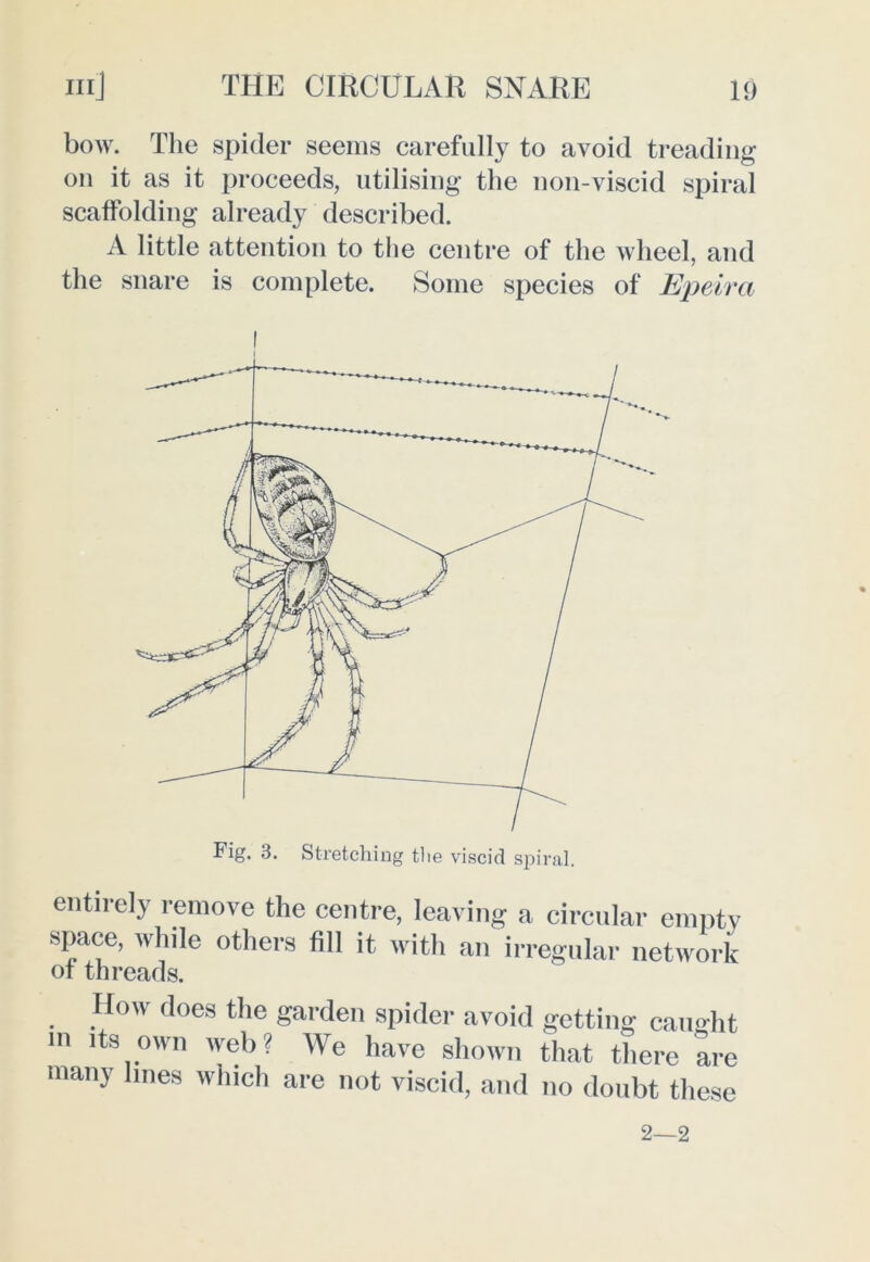 bow. The spider seems carefully to avoid treading on it as it proceeds, utilising the non-viscid spiral scaffolding already described. A little attention to the centre of the wheel, and the snare is complete. Some species of Epeira entirely remove the centre, leaving a circular empty space, while others fill it with an irregular network of threads. How does the garden spider avoid getting caught m its own web? We have shown that there are many lines which are not viscid, and no doubt these 2—2