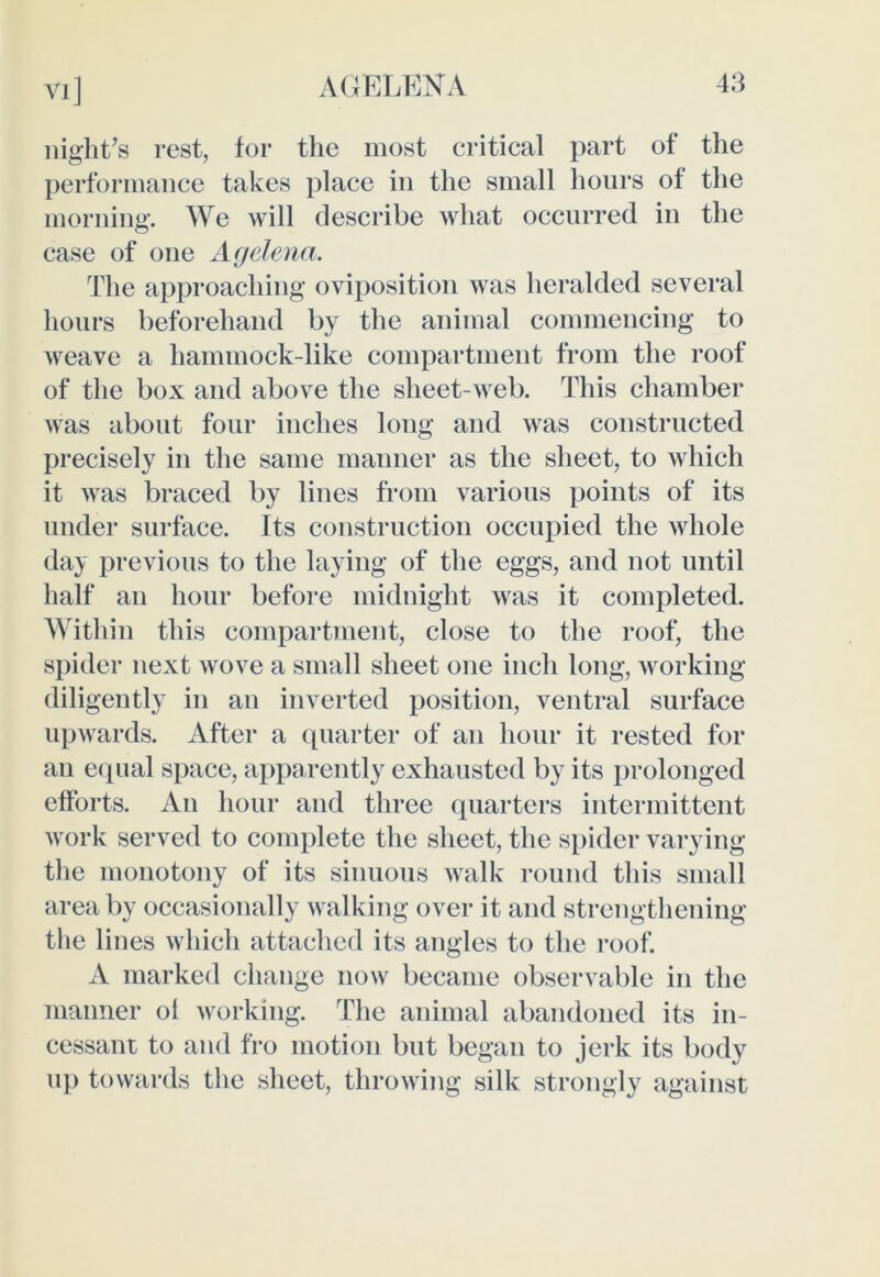 night’s rest, for the most critical part of the performance takes place in the small hours of the morning. We will describe what occurred in the case of one Agelenci, The approaching oviposition was heralded several hours beforehand by the animal commencing to weave a hammock-like compartment from the roof of the box and above the sheet-web. This chamber was about four inches long and was constructed precisely in the same manner as the sheet, to which it was braced by lines from various points of its under surface. Its construction occupied the whole day previous to the laying of the eggs, and not until half an hour before midnight was it completed. Within this compartment, close to the roof, the spider next wove a small sheet one inch long, working diligently in an inverted position, ventral surface upwards. After a quarter of an hour it rested for an equal space, apparently exhausted by its prolonged efforts. An hour and three quarters intermittent work served to complete the sheet, the spider varying the monotony of its sinuous walk round this small area by occasionally walking over it and strengthening the lines which attached its angles to the roof. A marked change now became observable in the manner oi working. The animal abandoned its in- cessant to and fro motion but began to jerk its body up towards the sheet, throwing silk strongly against