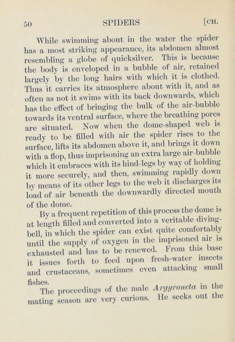 While swimming about in the water the spider has a most striking appearance, its abdomen almost resembling a globe of quicksilver. This is because the body is enveloped in a bubble of air, retained largely by the long hairs with which it is clothed. Thus it carries its atmosphere about with it, and as often as not it swims with its back downwards, which has the effect of bringing the bulk of the air-bubble towards its ventral surface, where the breathing pores are situated. Now when the dome-shaped web is ready to be filled with air the spider rises to the surface, lifts its abdomen above it, and brings it down with a flop, thus imprisoning an extra large air-bubble which it embraces with its liind-legs by way of holding it more securely, and then, swimming rapidly down by means of its other legs to the web it discharges its load of air beneath the downwardly directed mouth of the dome. , , By a frequent repetition of this process the dome is at length filled and converted into a veritable diving- bell in which the spider can exist quite comfortably until the supply of oxygen in the imprisoned air is exhausted and has to be renewed. From this base it issues forth to feed upon fresh-water insects and crustaceans, sometimes even attacking sma fi The proceedings of the male Argyroneta in the mating season are very curious, lie seeks out the