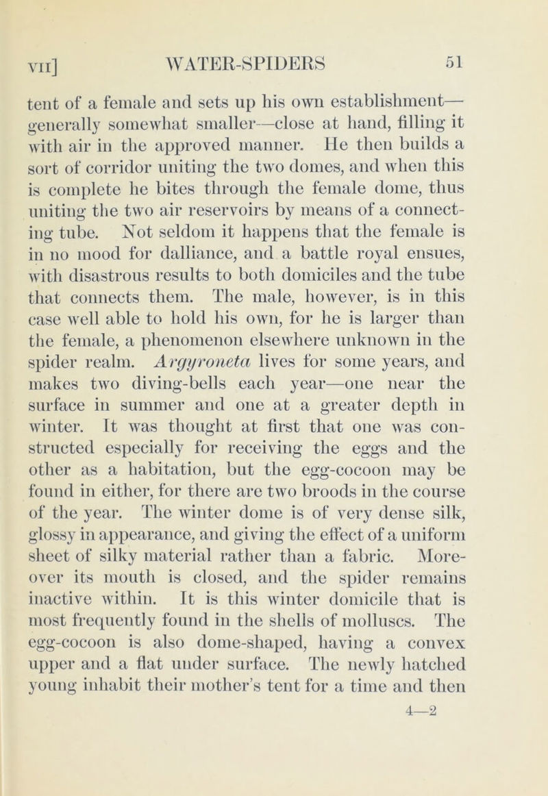 VI i] tent of a female and sets up his own establishment— generally somewhat smaller—close at hand, filling it with air in the approved manner. He then builds a sort of corridor uniting the two domes, and when this is complete he bites through the female dome, thus uniting the two air reservoirs by means of a connect- ing tube. Not seldom it happens that the female is in no mood for dalliance, and a battle royal ensues, with disastrous results to both domiciles and the tube that connects them. The male, however, is in this case well able to hold his own, for he is larger than the female, a phenomenon elsewhere unknown in the spider realm. Argyroneta lives for some years, and makes two diving-bells each year—one near the surface in summer and one at a greater depth in winter. It was thought at first that one was con- structed especially for receiving the eggs and the other as a habitation, but the egg-cocoon may be found in either, for there are two broods in the course of the year. The winter dome is of very dense silk, glossy in appearance, and giving the effect of a uniform sheet of silky material rather than a fabric. More- over its mouth is closed, and the spider remains inactive within. It is this winter domicile that is most frequently found in the shells of molluscs. The egg-cocoon is also dome-shaped, having a convex upper and a flat under surface. The newly hatched young inhabit their mother’s tent for a time and then 4—2