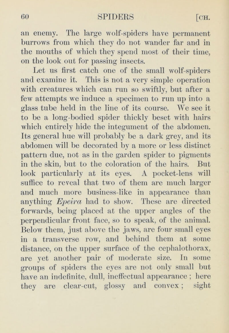 an enemy. The large wolf-spiders have permanent burrows from which they do not wander far and in the mouths of which they spend most of their time, on the look out for passing insects. Let us first catch one of the small wolf-spiders and examine it. This is not a very simple operation with creatures which can run so swiftly, but after a few attempts we induce a specimen to run up into a glass tube held in the line of its course. We see it to be a long-bodied spider thickly beset with hairs which entirely hide the integument of the abdomen. Its general hue will probably be a dark grey, and its abdomen will be decorated by a more or less distinct pattern due, not as in the garden spider to pigments in the skin, but to the coloration of the hairs. But look particularly at its eyes. A pocket-lens will suffice to reveal that two of them are much larger and much more business-like in appearance than anything Epeira had to show. These are directed forwards, being placed at the upper angles of the perpendicular front face, so to speak, of the animal. Below them, just above the jaws, are four small eyes in a transverse row, and behind them at some distance, on the upper surface of the cephalothorax, are yet another pair of moderate size. In some groups of spiders the eyes are not only small but have an indefinite, dull, ineffectual appearance ; here they are clear-cut, glossy and convex; sight