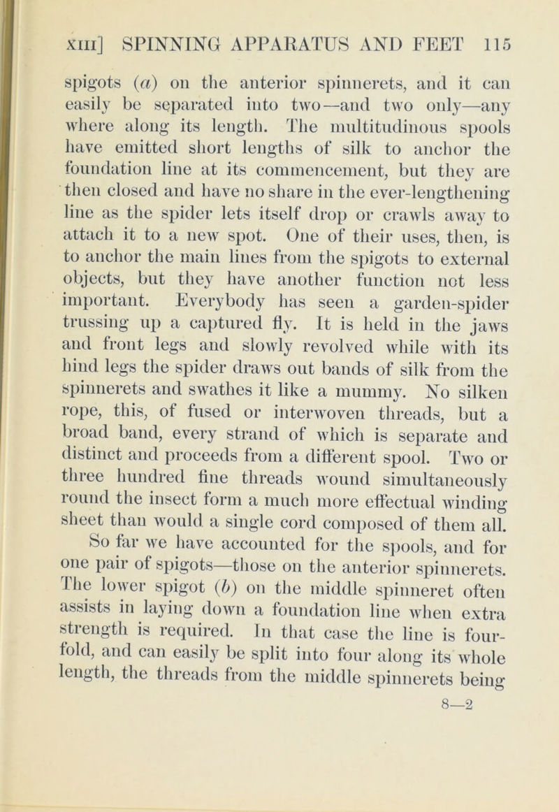 spigots (a) on the anterior spinnerets, and it can easily be separated into two—and two only—any where along its length. The multitudinous spools have emitted short lengths of silk to anchor the foundation line at its commencement, but they are then closed and have no share in the ever-lengthening line as the spider lets itself drop or crawls away to attach it to a new spot. One of their uses, then, is to anchor the main lines from the spigots to external objects, but they have another function not less important. Everybody has seen a garden-spider trussing up a captured fly. It is held in the jaws and front legs and slowly revolved while with its hind legs the spider draws out bands of silk from the spinnerets and swathes it like a mummy. No silken rope, this, of fused or interwoven threads, but a broad band, every strand of which is separate and distinct and proceeds from a different spool. Two or three hundred fine threads wound simultaneously round the insect form a much more effectual winding sheet than would a single cord composed of them all. So far we have accounted for the spools, and for one pair of spigots—those on the anterior spinnerets. Hie lower spigot (b) on the middle spinneret often assists in laying down a foundation line when extra strength is required. In that case the line is four- fold, and can easily be split into four along its whole length, the threads from the middle spinnerets being 8—2