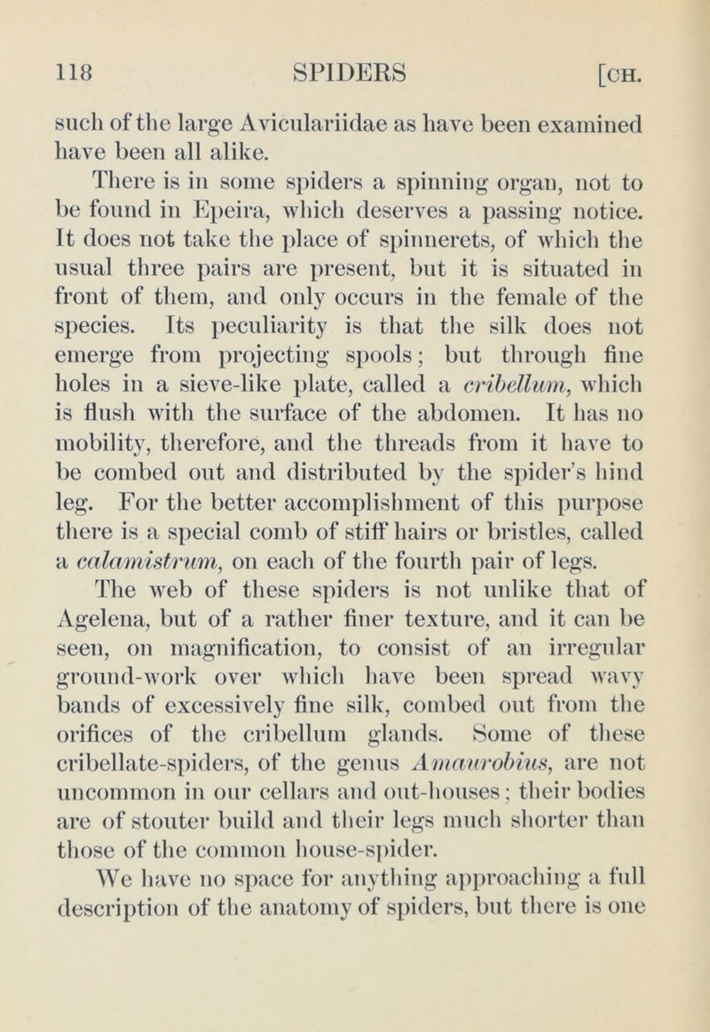 such of the large Aviculariidae as have been examined have been all alike. There is in some spiders a spinning organ, not to be found in Epeira, which deserves a passing notice. It does not take the place of spinnerets, of which the usual three pairs are present, but it is situated in front of them, and only occurs in the female of the species. Its peculiarity is that the silk does not emerge from projecting spools; but through fine holes in a sieve-like plate, called a cribellum, which is flush with the surface of the abdomen. It has no mobility, therefore, and the threads from it have to be combed out and distributed by the spider’s hind leg. For the better accomplishment of this purpose there is a special comb of stiff hairs or bristles, called a calamistrum, on each of the fourth pair of legs. The web of these spiders is not unlike that of Agelena, but of a rather finer texture, and it can be seen, on magnification, to consist of an irregular ground-work over which have been spread wavy bands of excessively fine silk, combed out from the orifices of the cribellum glands. Some of these cribellate-spiders, of the genus Amaurobius, are not uncommon in our cellars and out-houses; their bodies are of stouter build and their legs much shorter than those of the common house-spider. We have no space for anything approaching a full description of the anatomy of spiders, but there is one