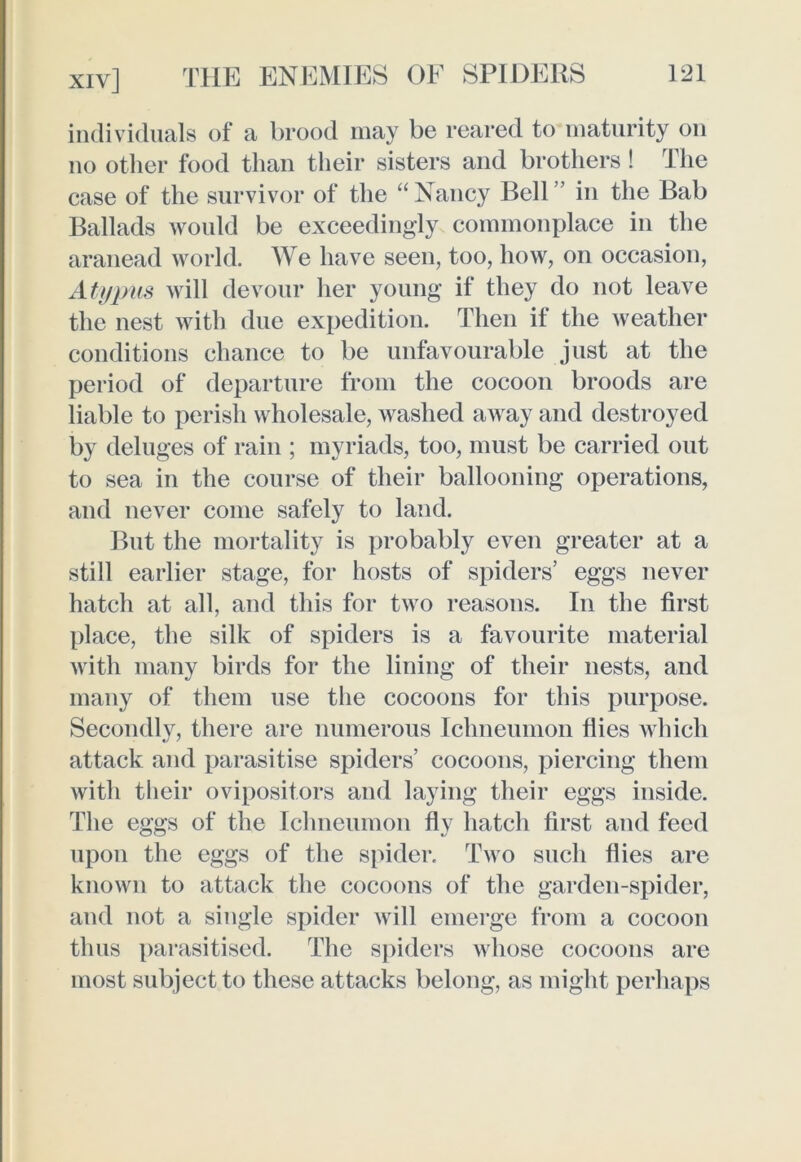 individuals of a brood may be reared to maturity on no other food than their sisters and brothers! The case of the survivor of the “Nancy Bell’’ in the Bab Ballads would be exceedingly commonplace in the aranead world. We have seen, too, how, on occasion, Atypus will devour her young if they do not leave the nest with due expedition. Then if the weather conditions chance to be unfavourable just at the period of departure from the cocoon broods are liable to perish wholesale, washed away and destroyed by deluges of rain ; myriads, too, must be carried out to sea in the course of their ballooning operations, and never come safely to land. But the mortality is probably even greater at a still earlier stage, for hosts of spiders’ eggs never hatch at all, and this for two reasons. In the first place, the silk of spiders is a favourite material with many birds for the lining of their nests, and many of them use the cocoons for this purpose. Secondly, there are numerous Ichneumon flies which attack and parasitise spiders’ cocoons, piercing them with their ovipositors and laying their eggs inside. The eggs of the Ichneumon fly hatch first and feed upon the eggs of the spider. Two such flies are known to attack the cocoons of the garden-spider, and not a single spider will emerge from a cocoon thus parasitised. The spiders whose cocoons are most subject to these attacks belong, as might perhaps