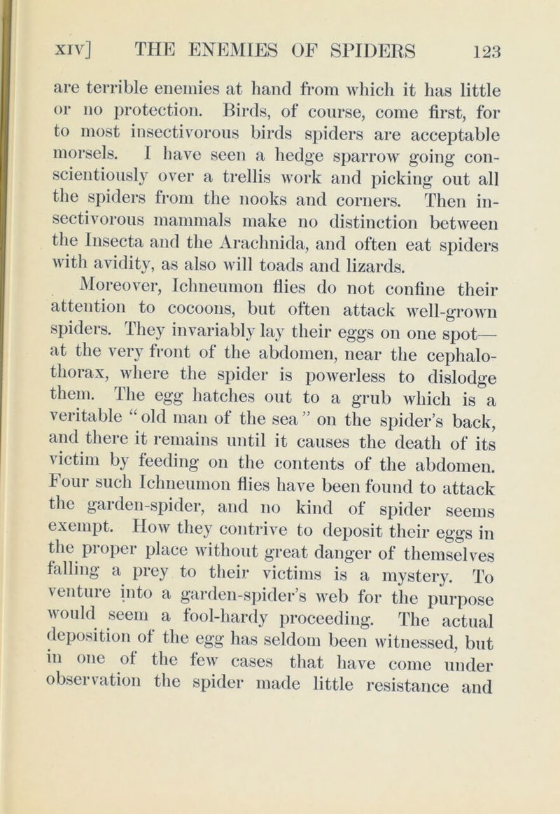 are terrible enemies at hand from which it has little or no protection. Birds, of course, come first, for to most insectivorous birds spiders are acceptable morsels. I have seen a hedge sparrow going con- scientiously over a trellis work and picking out all the spiders from the nooks and corners. Then in- sectivorous mammals make no distinction between the Insecta and the Arachnida, and often eat spiders with avidity, as also will toads and lizards. Moreover, Ichneumon Hies do not confine their attention to cocoons, but often attack well-grown spiders. They invariably lay their eggs on one spot— at the very front of the abdomen, near the cephalo- thorax, where the spider is powerless to dislodge them. The egg hatches out to a grub which is a veritable old man of the sea on the spider’s back, and there it remains until it causes the death of its victim by feeding on the contents of the abdomen, f our such Ichneumon flies have been found to attack the garden-spider, and no kind of spider seems exempt. How they contrive to deposit their eggs in the proper place without great danger of themselves falling a prey to their victims is a mystery. To venture into a garden-spider’s web for the purpose would seem a fool-hardy proceeding. The actual deposition of the egg has seldom been witnessed, but m one of the few cases that have come under observation the spider made little resistance and