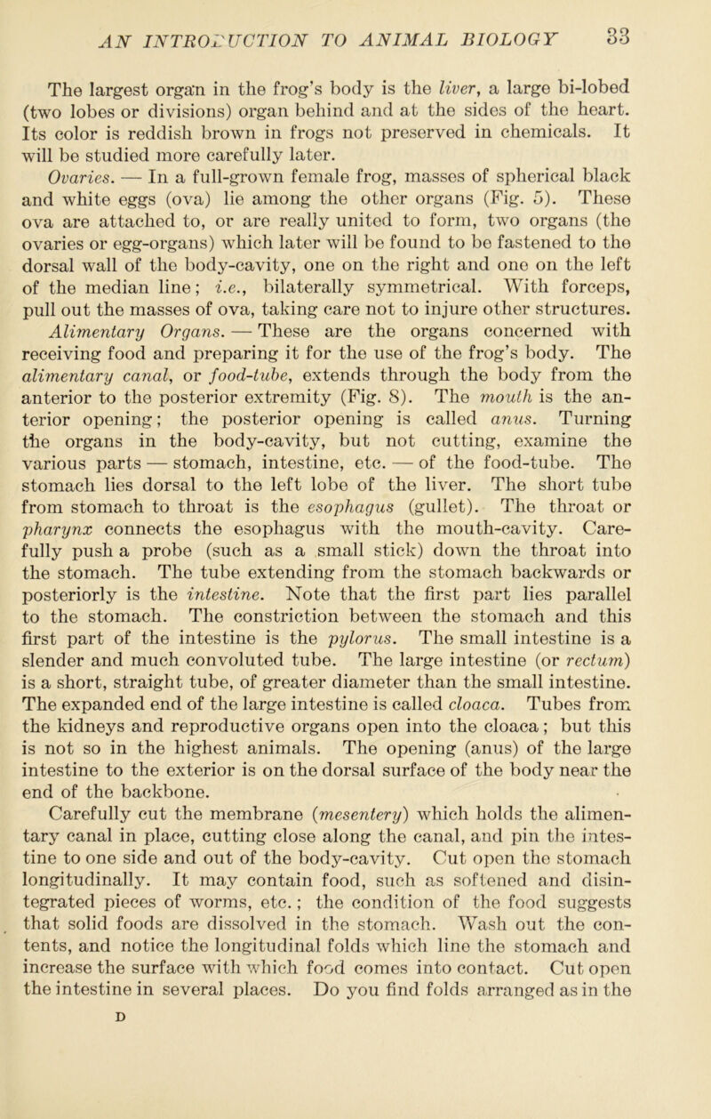 The largest organ in the frog’s body is the liver, a large bi-lobed (two lobes or divisions) organ behind and at the sides of the heart. Its color is reddish brown in frogs not preserved in chemicals. It will be studied more carefully later. Ovaries. — In a full-grown female frog, masses of spherical black and white eggs (ova) lie among the other organs (Fig. 5). These ova are attached to, or are really united to form, two organs (the ovaries or egg-organs) which later will be found to be fastened to the dorsal wall of the body-cavity, one on the right and one on the left of the median line; i.e., bilaterally symmetrical. With forceps, pull out the masses of ova, taking care not to injure other structures. Alimentary Organs. — These are the organs concerned with receiving food and preparing it for the use of the frog’s body. The alimentary canal, or food-tube, extends through the body from the anterior to the posterior extremity (Fig. 8). The mouth is the an- terior opening; the posterior opening is called anus. Turning the organs in the body-cavity, but not cutting, examine the various parts — stomach, intestine, etc. — of the food-tube. The stomach lies dorsal to the left lobe of the liver. The short tube from stomach to throat is the esophagus (gullet). The throat or pharynx connects the esophagus with the mouth-cavity. Care- fully push a probe (such as a small stick) down the throat into the stomach. The tube extending from the stomach backwards or posteriorly is the intestine. Note that the first part lies parallel to the stomach. The constriction between the stomach and this first part of the intestine is the pylorus. The small intestine is a slender and much convoluted tube. The large intestine (or rectum) is a short, straight tube, of greater diameter than the small intestine. The expanded end of the large intestine is called cloaca. Tubes from the kidneys and reproductive organs open into the cloaca; but this is not so in the highest animals. The opening (anus) of the large intestine to the exterior is on the dorsal surface of the body near the end of the backbone. Carefully cut the membrane {mesentery) which holds the alimen- tary canal in place, cutting close along the canal, and pin the intes- tine to one side and out of the body-cavity. Cut open the stomach longitudinally. It may contain food, such as softened and disin- tegrated pieces of worms, etc.; the condition of the food suggests that solid foods are dissolved in the stomach. Wash out the con- tents, and notice the longitudinal folds which line the stomach and increase the surface with which food comes into contact. Cut open the intestine in several places. Do you find folds arranged as in the D