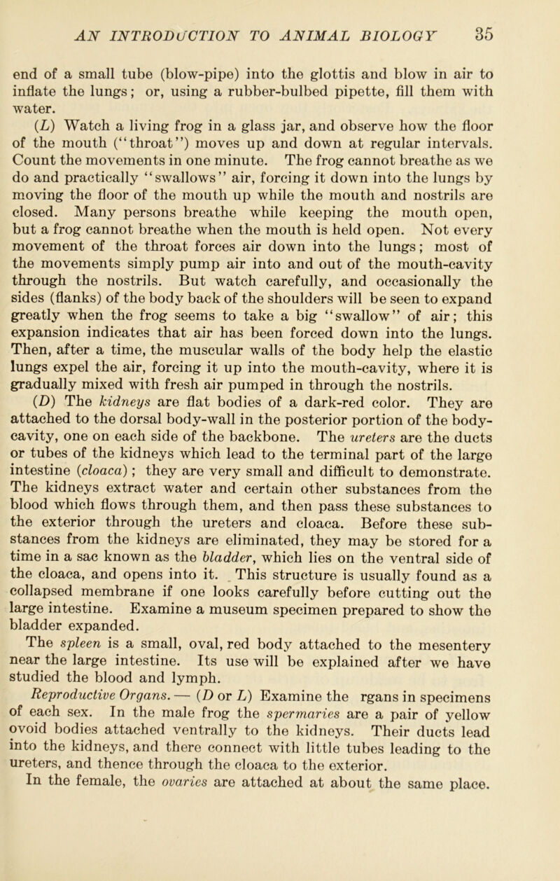 end of a small tube (blow-pipe) into the glottis and blow in air to inflate the lungs; or, using a rubber-bulbed pipette, fill them with water. (L) Watch a living frog in a glass jar, and observe how the floor of the mouth (“throat”) moves up and down at regular intervals. Count the movements in one minute. The frog cannot breathe as we do and practically “swallows” air, forcing it down into the lungs by moving the floor of the mouth up while the mouth and nostrils are closed. Many persons breathe while keeping the mouth open, but a frog cannot breathe when the mouth is held open. Not every movement of the throat forces air down into the lungs; most of the movements simply pump air into and out of the mouth-cavity through the nostrils. But watch carefully, and occasionally the sides (flanks) of the body back of the shoulders will be seen to expand greatly when the frog seems to take a big “swallow” of air; this expansion indicates that air has been forced down into the lungs. Then, after a time, the muscular walls of the body help the elastic lungs expel the air, forcing it up into the mouth-cavity, where it is gradually mixed with fresh air pumped in through the nostrils. (B) The kidneys are flat bodies of a dark-red color. They are attached to the dorsal body-wall in the posterior portion of the body- cavity, one on each side of the backbone. The ureters are the ducts or tubes of the kidneys which lead to the terminal part of the large intestine {cloaca); they are very small and difficult to demonstrate. The kidneys extract water and certain other substances from the blood which flows through them, and then pass these substances to the exterior through the ureters and cloaca. Before these sub- stances from the kidneys are eliminated, they may be stored for a time in a sac known as the bladder, which lies on the ventral side of the cloaca, and opens into it. . This structure is usually found as a collapsed membrane if one looks carefully before cutting out the large intestine. Examine a museum specimen prepared to show the bladder expanded. The spleen is a small, oval, red body attached to the mesentery near the large intestine. Its use will be explained after we have studied the blood and lymph. Reproductive Organs. — (D or L) Examine the rgans in specimens of each sex. In the male frog the spermaries are a pair of yellow ovoid bodies attached ventrally to the kidneys. Their ducts lead into the kidneys, and there connect with little tubes leading to the ureters, and thence through the cloaca to the exterior. In the female, the ovaries are attached at about the same place.