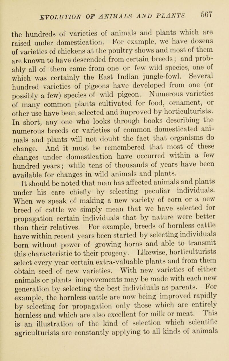 the hundreds of varieties of animals and plants which are raised under domestication. For example, we have dozens of varieties of chickens at the poultry shows and most of them are known to have descended from certain breeds; and prob- ably all of them came from one or few wild species, one of which was certainly the East Indian jungle-fowl. Several hundred varieties of pigeons have developed from one (or possibly a few) species of wild pigeon. Numerous varieties of many common plants cultivated for food, ornament, or other use have been selected and improved by horticulturists. In short, any one who looks through books describing the numerous breeds or varieties of common domesticated ani- mals and plants Avill not doubt the fact that organisms do change. And it must be remembered that most of these changes under domestication have occurred within a few hundred years; while tens of thousands of years have been available for changes in wild animals and plants. It should be noted that man has affected animals and plants under his care chiefly by selecting peculiar individuals. When we speak of making a new variety of corn or a new breed of cattle we simply mean that we have selected for propagation certain individuals that by nature were better than their relatives. For example, breeds of hornless cattle have within recent years been started by selecting individuals born without power of growing horns and able to transmit this characteristic to their progeny. Likewise, horticulturists select every year certain extra-valuable plants and from them obtain seed of new varieties. With new varieties of either animals or plants improvements may be made with each new generation by selecting the best individuals as parents. For example, the hornless cattle arc now being im])roved ra]')idly by selecting for propagation only those which are entirely hornless and which are also excellent for milk or meat. This is an illustration of the kind of selection which scientific agriculturists are constantly applying to all kinds of animals