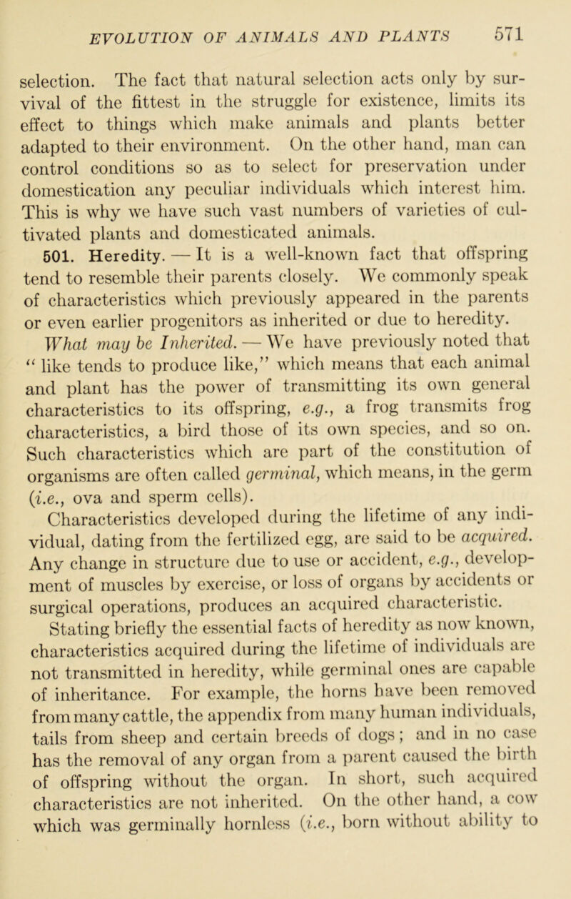 selection. The fact that natural selection acts only by sur- vival of the fittest in the struggle for existence, limits its effect to things which make animals and plants better adapted to their environment. On the other hand, man can control conditions so as to select for preservation under domestication any peculiar individuals which interest liiin. This is why we have such vast numbers of varieties of cul- tivated plants and domesticated animals. 501. Heredity. — It is a well-known fact that offspring tend to resemble their parents closely. We commonly speak of characteristics which previously appeared in the parents or even earlier progenitors as inherited or due to heredity. What may he Inherited. — We have previously noted that like tends to produce like,’’ which means that each animal and plant has the power of transmitting its own general characteristics to its offspring, e.g., a frog transmits frog characteristics, a bird those of its own species, and so on. Such characteristics which are part of the constitution of organisms are often called germinal, which means, in the geim {i.e., ova and sperm cells). Characteristics developed during the lifetime of any indi- vidual, dating from the fertilized egg, are said to be acquired. Any change in structure due to use or accident, e.g., develop- ment of muscles by exercise, or loss of organs by accidents or surgical operations, produces an accjuired characteristic. Stating briefly the essential facts of heredity as now known, characteristics acquired during the lifetime of individuals are not transmitted in heredity, while germinal ones are capable of inheritance. For example, the horns have been removed from many cattle, the appendix from many human individuals, tails from sheep and certain breeds of dogs; and in no case has the removal of any organ from a i)arent caused the birth of offspring without the organ. In short, such acquired characteristics are not inherited. On the other hand, a cow which was germinally hornless {i.e., born without ability to