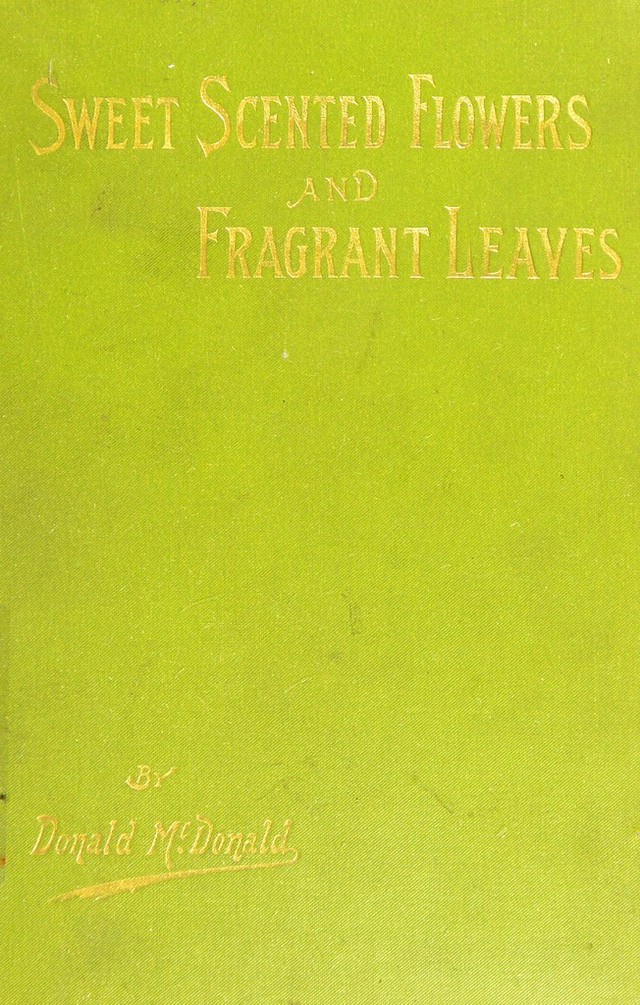 digitised image 1