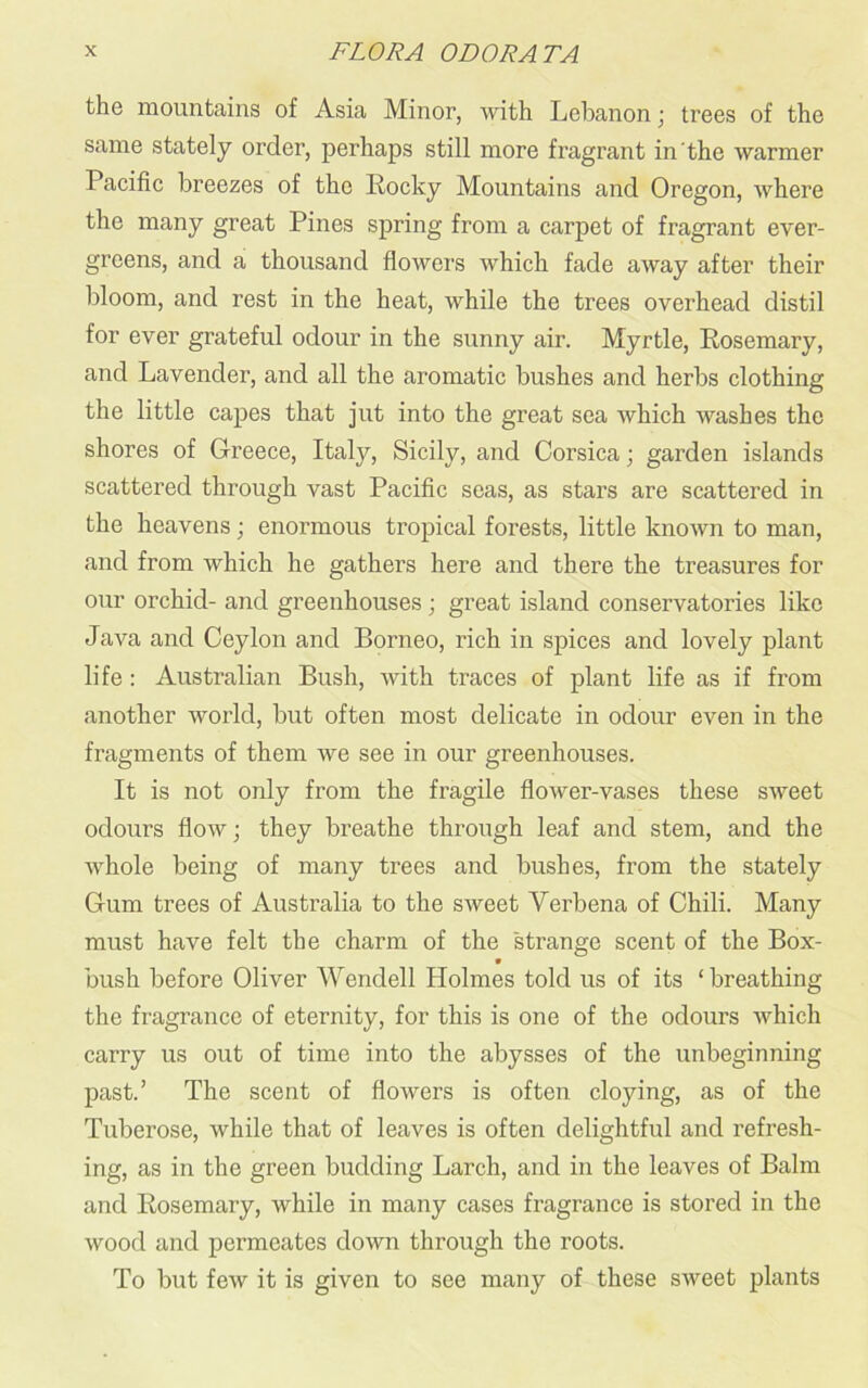 the mountains of Asia Minor, with Lebanon; trees of the same stately order, perhaps still more fragrant in the warmer Pacific breezes of the Rocky Mountains and Oregon, where the many great Pines spring from a carpet of fragrant ever- greens, and a thousand flowers which fade away after their bloom, and rest in the heat, while the trees overhead distil for ever grateful odour in the sunny air. Myrtle, Rosemary, and Lavender, and all the aromatic bushes and herbs clothing the little capes that jut into the great sea which washes the shores of Greece, Italy, Sicily, and Corsica; garden islands scattered through vast Pacific seas, as stars are scattered in the heavens; enormous tropical forests, little known to man, and from which he gathers here and there the treasures for our orchid- and greenhouses ; great island conservatories like Java and Ceylon and Borneo, rich in spices and lovely plant life : Australian Bush, with traces of plant life as if from another world, but often most delicate in odour even in the fragments of them we see in our greenhouses. It is not only from the fragile flower-vases these sweet odours flow; they breathe through leaf and stem, and the whole being of many trees and bushes, from the stately Cum trees of Australia to the sweet Verbena of Chili. Many must have felt the charm of the strange scent of the Box- bush before Oliver Wendell Holmes told us of its ‘ breathing the fragrance of eternity, for this is one of the odours which carry us out of time into the abysses of the unbeginning past.’ The scent of flowers is often cloying, as of the Tuberose, while that of leaves is often delightful and refresh- ing, as in the green budding Larch, and in the leaves of Balm and Rosemary, while in many cases fragrance is stored in the wood and permeates down through the roots. To but few it is given to see many of these sweet plants