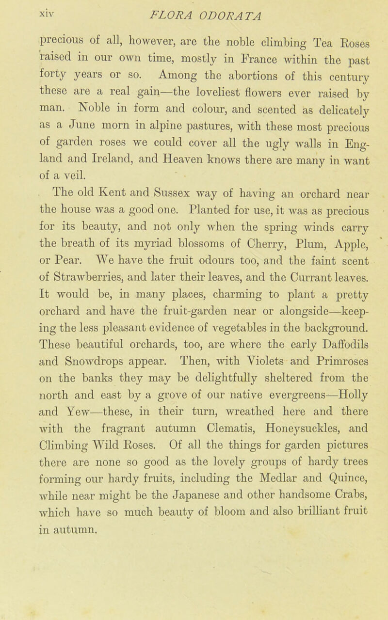 precious of all, however, are the noble climbing Tea Roses raised in our own time, mostly in France within the past forty years or so. Among the abortions of this century these are a real gain—the loveliest flowers ever raised by man. Noble in form and colour, and scented as delicately as a June morn in alpine pastures, with these most precious of garden roses we could cover all the ugly walls in Eng- land and Ireland, and Heaven knows there are many in want of a veil. The old Kent and Sussex way of having an orchard near the house was a good one. Planted for use, it was as precious for its beauty, and not only when the spring winds carry the breath of its myriad blossoms of Cherry, Plum, Apple, or Pear. We have the fruit odours too, and the faint scent of Strawberries, and later their leaves, and the Currant leaves. It would be, in many places, charming to plant a pretty orchard and have the fruit-garden near or alongside—keep- ing the less pleasant evidence of vegetables in the background. These beautiful orchards, too, are where the early Daffodils and Snowdrops appear. Then, with Violets and Primroses on the banks they may be delightfully sheltered from the north and east by a grove of our native evergreens—Holly and Yew—these, in their turn, wreathed here and there with the fragrant autumn Clematis, Honeysuckles, and Climbing Wild Roses. Of all the things for garden pictures there are none so good as the lovely groups of hardy trees forming our hardy fruits, including the Medlar and Quince, while near might be the Japanese and other handsome Crabs, which have so much beauty of bloom and also brilliant fruit in autumn.