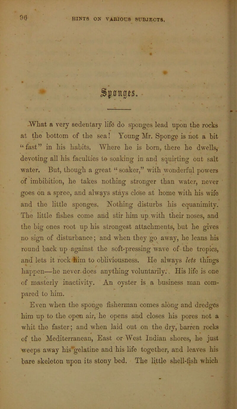 Spitps. - ^^VLat a very sedentary life do sponges lead upon the rocks at the bottom of tbe sea! Young Mr. Spongp is not a bit “ fast ” in bis babits. Where bo is born, there be dwells,- devoting all bis faculties le soaking in and squirting out salt v'ater. But, though a great “ soaker,” with wondei'ful powers of imbibition, be takes nothing stronger than water, never goes on a spree, and always stays close at home with bis wife and the little sponges. Nothing disturbs bis equanimity. Tbe little fishes come and stir him up with their noses, and tbe big ones root up bis strongest attachments, but be gives no sign of disturbance; and when they go away, be leans bis round back up against tbe soft-jiressing wave of tbe tropics, and lets it rock 4iim to obliviousness. Ho always lets tbmgs happen—be never, does anything voluntarily.', His life is one of masterly inactivity. An oyster is a business man com- pared to him. Even when tbe sponge fiisberman comes along and dredges him up to tbe open air, be opens and closes bis pores not a whit the faster; and when laid out on the dry, barren rocks * • of the Mediterranean, East or West Indian shores, be just weeps away bis*gelatine and bis life together, and leaves bis bare skeleton upon its stony bed. The Uttle shell-fish which