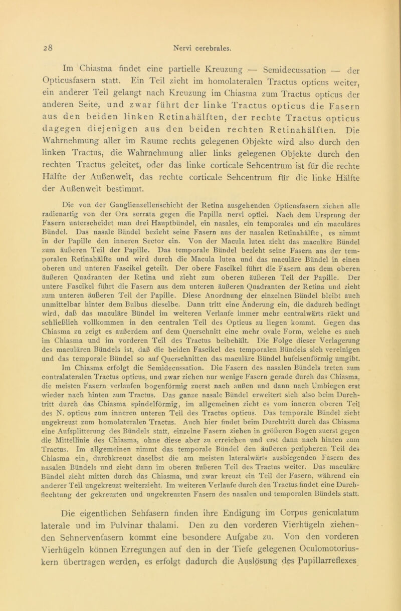 Im Chiasma findet eine partielle Kreuzung — Semidecussation — der Opticusfasern statt. Ein Teil zieht im homolateralen Tractus opticus weiter, ein anderer Teil gelangt nach Kreuzung im Chiasma zum Tractus opticus der anderen Seite, und zwar führt der linke Tractus opticus die Fasern aus den beiden linken Retinahälften, der rechte Tractus opticus dagegen diejenigen aus den beiden rechten Retinahälften. Die Wahrnehmung aller im Raume rechts gelegenen Objekte wird also durch den linken Tractus, die Wahrnehmung aller links gelegenen Objekte durch den rechten Tractus geleitet, oder das linke corticale Sehcentrum ist für die rechte Hälfte der Außenwelt, das rechte corticale Sehcentrum für die linke Hälfte der Außenwelt bestimmt. Die von der Ganglienzellenschicht der Retina ausgehenden Opticusfasern ziehen alle radienartig von der Ora serrata gegen die Papilla nervi optici. Nach dem Ursprung der Fasern unterscheidet man drei Hauptbündel, ein nasales, ein temporales und ein maculäres Bündel. Das nasale Bündel bezieht seine Fasern aus der nasalen Retinahälfte, es nimmt in der Papille den inneren Sector ein. Von der Macula lutea zieht das maculäre Bündel zum äußeren Teil der Papille. Das temporale Bündel bezieht seine Fasern aus der tem- poralen Retinahälfte und wird durch die Macula lutea und das maculäre Bündel in einen oberen und unteren Fascikel geteilt. Der obere Fascikel führt die Fasern aus dem oberen äußeren Quadranten der Retina und zieht zum oberen äußeren Teil der Papille. Der untere Fascikel führt die Fasern aus dem unteren äußeren Quadranten der Retina und zieht zum unteren äußeren Teil der Papille. Diese Anordnung der einzelnen Bündel bleibt auch unmittelbar hinter dem Bulbus dieselbe. Dann tritt eine Änderung ein, die dadurch bedingt wird, daß das maculäre Bündel im weiteren Verlaufe immer mehr centralwärts rückt und schließlich vollkommen in den centralen Teil des Opticus zu liegen kommt. Gegen das Chiasma zu zeigt es außerdem auf dem Querschnitt eine mehr ovale Form, welche es auch im Chiasma und im vorderen Teil des Tractus beibehält. Die Folge dieser Verlagerung des maculären Bündels ist, daß die beiden Fascikel des temporalen Bündels sich vereinigen und das temporale Bündel so auf Querschnitten das maculäre Bündel hufeisenförmig umgibt. Im Chiasma erfolgt die Semidecussation. Die Fasern des nasalen Bündels treten zum contralateralen Tractus opticus, und zwar ziehen nur wenige Fasern gerade durch das Chiasma, die meisten Fasern verlaufen bogenförmig zuerst nach außen und dann nach Umbiegen erst wieder nach hinten zum Tractus. Das ganze nasale Bündel erweitert sich also beim Durch- tritt durch das Chiasma spindelförmig, im allgemeinen zieht es vom inneren oberen Teil des N. opticus zum inneren unteren Teil des Tractus opticus. Das temporale Bündel zieht ungekreuzt zum homolateralen Tractus. Auch hier findet beim Durchtritt durch das Chiasma eine Aufsplitterung des Bündels statt, einzelne Fasern ziehen in größeren Bogen zuerst gegen die Mittellinie des Chiasma, ohne diese aber zu erreichen und erst dann nach hinten zum Tractus. Im allgemeinen nimmt das temporale Bündel den äußeren peripheren Teil des Chiasma ein, durchkreuzt daselbst die am meisten lateralwärts ausbiegenden Fasern des nasalen Bündels und zieht dann im oberen äußeren Teil des Tractus weiter. Das maculäre Bündel zieht mitten durch das Chiasma, und zwar kreuzt ein Teil der Fasern, während ein anderer Teil ungekreuzt weiterzieht. Im weiteren Verlaufe durch den Tractus findet eine Durch- flechtung der gekreuzten und ungekreuzten Fasern des nasalen und temporalen Bündels statt. Die eigentlichen Sehfasern finden ihre Endigung im Corpus geniculatum laterale und im Pulvinar thalami. Den zu den vorderen Vierhügeln ziehen- den Sehnervenfasern kommt eine besondere Aufgabe zu. Von den vorderen Vierhügeln können Erregungen auf den in der Tiefe gelegenen Oculomotorius- kern übertragen werden, es erfolgt dadurch die Auslösung des Pupillarreflexes