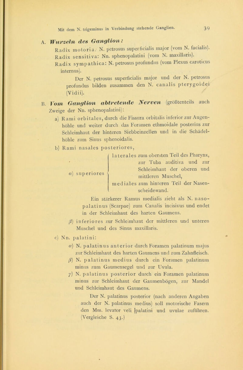 A. Wurzeln des Ganglion: Radix motoria; N. pctrosus superficialis major (vom N. facialis). Radix sensitiva: Nn. sphenopalatini (vom N. maxillaris). Radix sympathica: N. petrosus profundus (vom Plexus caroticus internus). Der N. petrosus superficialis major und der N. petrosus profundus bilden zusammen den N. canalis pterygoidei (Vidii). B. Vom Ganglion abtretende Nerven (größtenteils auch Zweige der Nn. sphenopalatini): a) Rami orbitales, durch die Fissura orbitalis inferior zur Augen- höhle und weiter durch das Foramen ethmoidale posterius zur Schleimhaut der hinteren Siebbeinzellen und in die Schädel- höhle zum Sinus sphenoidalis. b) Rami nasales posteriores, laterales zum obersten Teil des Pharynx, zur Tuba auditiva und zur Schleimhaut der oberen und mittleren Muschel, mediales zum hinteren Teil der Nasen- scheidewand. a) superiores Ein stärkerer Ramus medialis zieht als N. naso- palatinus (Scarpae) zum Canalis incisivus und endet in der Schleimhaut des harten Gaumens. ß) inferiores zur Schleimhaut der mittleren und unteren Muschel und des Sinus maxillaris. c) Nn. palatini: a) N. palatinus anterior durch Foramen palatinum majus zur Schleimhaut des harten Gaumens und zum Zahnfleisch. ß) N. palatinus medius durch ein Foramen palatinum minus zum Gaumensegel und zur Uvula. y) N. palatinus posterior durch ein Foramen palatinum minus zur Schleimhaut der Gaumenbögen, zur Mandel und Schleimhaut des Gaumens. Der N. palatinus posterior (nach anderen Angaben auch der N. palatinus medius) soll motorische Fasern den Mm. levator veli [palatini und uvulae zuführen. (Vergleiche S. 43.)