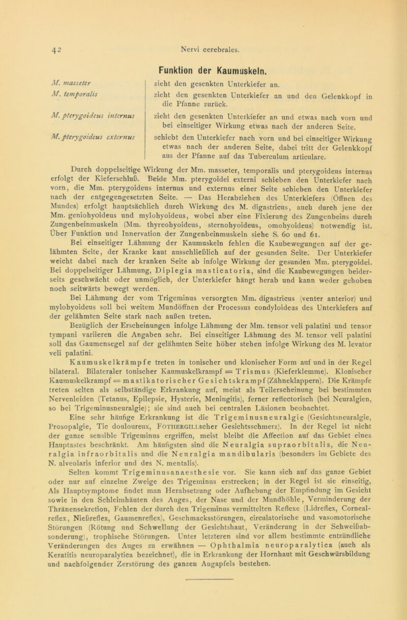 M. masseter AI. temporalis AI. pterygoideus internus AI. pterygoideus externus Funktion der Kaumuskeln. zieht den gesenkten Unterkiefer an. zieht den gesenkten Unterkiefer an und den Gelenkkopf in die Pfanne zurück. zieht den gesenkten Unterkiefer an und etwas nach vorn und bei einseitiger Wirkung etwas nach der anderen Seite. schiebt den Unterkiefer nach vorn und bei einseitiger Wirkung etwas nach der anderen Seite, dabei tritt der Gelenkkopf aus der Pfanne auf das Tuberculum articulare. Durch doppelseitige Wirkung der Mm. masseter, temporalis und pterygoideus internus erfolgt der Kieferschluß. Beide Mm. pterygoidei externi schieben den Unterkiefer nach vorn, die Mm. pterygoideus internus und externus einer Seite schieben den Unterkiefer nach der entgegengesetzten Seite. — Das Herabziehen des Unterkiefers (Öffnen des Mundes) erfolgt hauptsächlich durch Wirkung des M. digastricus, auch durch jene der Mm. geniohyoideus und mylohyoideus, wobei aber eine Fixierung des Zungenbeins durch Zungenbeinmuskeln (Mm. thyreohyoideus, sternohyoideus, omohyoideus) notwendig ist. Über Funktion und Innervation der Zungenbeinmuskeln siehe S. 60 und 61. Bei einseitiger Lähmung der Kaumuskeln fehlen die Kaubewegungen auf der ge- lähmten Seite, der Kranke kaut ausschließlich auf der gesunden Seite. Der Unterkiefer weicht dabei nach der kranken Seite ab infolge Wirkung der gesunden Mm. pterygoidei. Bei doppelseitiger Lähmung, Diplegia masticatoria, sind die Kaubewegungen beider- seits geschwächt oder unmöglich, der Unterkiefer hängt herab und kann weder gehoben noch seitwärts bewegt werden. Bei Lähmung der vom Trigeminus versorgten Mm. digastricus (venter anterior) und mylohyoideus soll bei weitem Mundöffnen der Processus condyloideus des Unterkiefers auf der gelähmten Seite stark nach außen treten. Bezüglich der Erscheinungen infolge Lähmung der Mm. tensor veli palatini und tensor tympani variieren die Angaben sehr. Bei einseitiger Lähmung des M. tensor veli palatini soll das Gaumensegel auf der gelähmten Seite höher stehen infolge Wirkung des M. levator veli palatini. Kaumuskelkrämpfe treten in tonischer und klonischer Form auf und in der Regel bilateral. Bilateraler tonischer Kaumuskelkrampf = Trismus (Kieferklemme). Klonischer Kaumuskelkrampf = mastikatorischer Gesichtskrampf (Zähneklappern). Die Krämpfe treten selten als selbständige Erkrankung auf, meist als Teilerscheinung bei bestimmten Nervenleiden (Tetanus, Epilepsie, Plysterie, Meningitis), ferner reflectorisch (bei Neuralgien, so bei Trigeminusneuralgie); sie sind auch bei centralen Läsionen beobachtet. Eine sehr häufige Erkrankung ist die Trigeminusneuralgie (Gesichtsneuralgie, Prosopalgie, Tic douloureux, FOTHERGlLLscher Gesichtsschmerz). In der Regel ist nicht der ganze sensible Trigeminus ergriffen, meist bleibt die Affection auf das Gebiet eines Hauptastes beschränkt. Am häufigsten sind die Neuralgia supraorbitalis, die Neu- ralgia i n f r ao r b i t a lis und die Neuralgia mandibularis (besonders im Gebiete des N. alveolaris inferior und des N. mentalis). Selten kommt Trigeminusanaesthe sie vor. Sie kann sich auf das ganze Gebiet oder nur auf einzelne Zweige des Trigeminus erstrecken; in der Regel ist sie einseitig, Als Hauptsymptome findet man Herabsetzung oder Aufhebung der Empfindung im Gesicht sowie in den Schleimhäuten des Auges, der Nase und der Mundhöhle, Verminderung der Thränensekretion, Fehlen der durch den Trigeminus vermittelten Reflexe (Lidreflex, Corneal- reflex, Nießreflex, Gaumenreflex), Geschmacksstörungen, circulatorischc und vasomotorische Störungen (Rötung und Schwellung der Gesichtshaut, Veränderung in der Sehweißab- sonderung), trophische Störungen. Unter letzteren sind vor allem bestimmte entzündliche Veränderungen des Auges zu erwähnen — Ophthalmia neuroparalytica (auch als Keratitis neuroparalytica bezeichnet), die in Erkrankung der Hornhaut mit Geschwürsbildung und nachfolgender Zerstörung des ganzen Augapfels bestehen.
