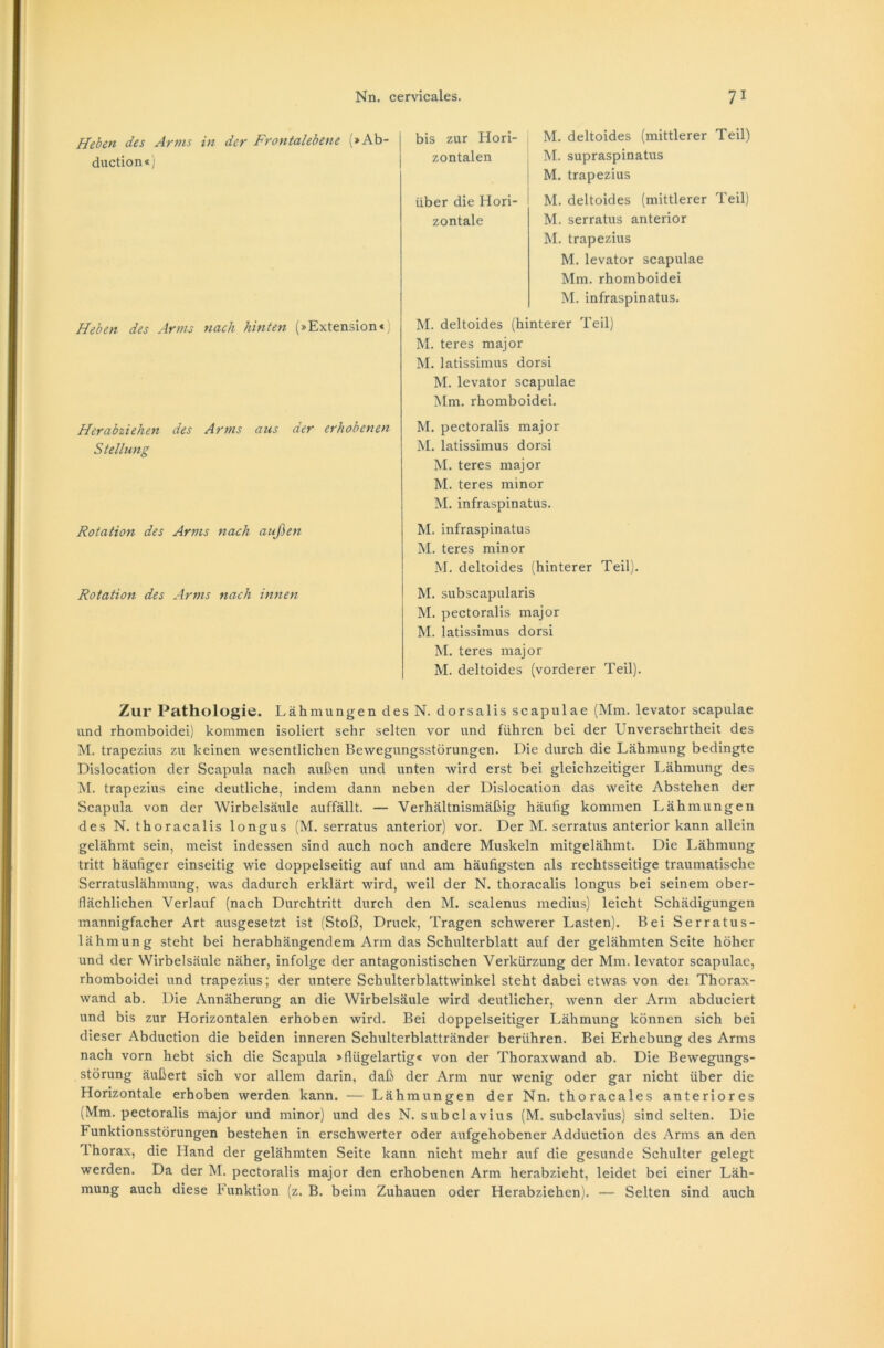 Heben des Arms in der Frontalebene (»Ab- duction«) Heben des Arms nach hinten (»Extension«} Herabziehen des Arms aus der erhobenen Stellung Rotation des Arms nach außen Rotation des Arms nach innen M. deltoides (mittlerer Teil) M. supraspinatus M. trapezius M. deltoides (mittlerer Teil) M. serratus anterior M. trapezius M. levator scapulae Mm. rhomboidei M. infraspinatus. M. deltoides (hinterer Teil) M. teres major M. latissimus dorsi M. levator scapulae Mm. rhomboidei. M. pectoralis major M. latissimus dorsi M. teres major M. teres minor M. infraspinatus. M. infraspinatus INI. teres minor M. deltoides (hinterer Teil). M. subscapularis M. pectoralis major M. latissimus dorsi M. teres major M. deltoides (vorderer Teil). bis zur Hori- zontalen über die Hori- zontale Zur Pathologie. Lähmungen des N. dorsalis scapulae (Mm. levator scapulae und rhomboidei) kommen isoliert sehr selten vor und führen bei der Unversehrtheit des M. trapezius zu keinen wesentlichen Bewegungsstörungen. Die durch die Lähmung bedingte Dislocation der Scapula nach außen und unten wird erst bei gleichzeitiger Lähmung des M. trapezius eine deutliche, indem dann neben der Dislocation das weite Abstehen der Scapula von der Wirbelsäule auffällt. — Verhältnismäßig häufig kommen Lähmungen des N. thoracalis longus (M. serratus anterior) vor. Der M. serratus anterior kann allein gelähmt sein, meist indessen sind auch noch andere Muskeln mitgelähmt. Die Lähmung tritt häufiger einseitig wie doppelseitig auf und am häufigsten als rechtsseitige traumatische Serratuslähmung, was dadurch erklärt wird, weil der N. thoracalis longus bei seinem ober- flächlichen Verlauf (nach Durchtritt durch den M. scalenus medius) leicht Schädigungen mannigfacher Art ausgesetzt ist (Stoß, Druck, Tragen schwerer Lasten). Bei Serratus- lähmung steht bei herabhängendem Arm das Schulterblatt auf der gelähmten Seite höher und der Wirbelsäule näher, infolge der antagonistischen Verkürzung der Mm. levator scapulae, rhomboidei und trapezius; der untere Schulterblattwinkel steht dabei etwas von der Thorax- wand ab. Die Annäherung an die Wirbelsäule wird deutlicher, wenn der Arm abduciert und bis zur Horizontalen erhoben wird. Bei doppelseitiger Lähmung können sich bei dieser Abduction die beiden inneren Schulterblattränder berühren. Bei Erhebung des Arms nach vorn hebt sich die Scapula »fiügelartig« von der Thoraxwand ab. Die Bewegungs- störung äußert sich vor allem darin, daß der Arm nur wenig oder gar nicht über die Horizontale erhoben werden kann. — Lähmungen der Nn. thoracales anteriores (Mm. pectoralis major und minor) und des N. subclavius (M. subclavius) sind selten. Die Funktionsstörungen bestehen in erschwerter oder aufgehobener Adduction des Arms an den 1 horax, die Hand der gelähmten Seite kann nicht mehr auf die gesunde Schulter gelegt werden. Da der M. pectoralis major den erhobenen Arm herabzieht, leidet bei einer Läh- mung auch diese Funktion (z. B. beim Zuhauen oder Herabziehen). — Selten sind auch