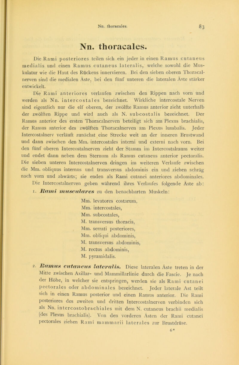 Nn. thoracales. Die Rami posteriores teilen sich ein jeder in einen Ramus cutaneus medialis und einen Ramus cutaneus lateralis, welche sowohl die Mus- kulatur wie die Haut des Rückens innervieren. Bei den sieben oberen Thoracal- nerven sind die medialen Äste, bei den fünf unteren die lateralen Äste stärker entwickelt. Die Rami anteriores verlaufen zwischen den Rippen nach vorn und werden als Nn. intercostales bezeichnet. Wirkliche intercostale Nerven sind eigentlich nur die elf oberen, der zwölfte Ramus anterior zieht unterhalb der zwölften Rippe und wird auch als N. subcostalis bezeichnet. Der Ramus anterior des ersten Thoracalnerven beteiligt sich am Plexus brachialis, der Ramus anterior des zwölften Thoracalnerven am Plexus lumbalis. Jeder Intercostalnerv verläuft zunächst eine Strecke weit an der inneren Brustwand und dann zwischen den Mm. intercostales interni und externi nach vorn. Bei den fünf oberen Intercostalnerven zieht der Stamm im Intercostalraum weiter lind endet dann neben dem Sternum als Ramus cutaneus anterior pectoralis. Die sieben unteren Intercostalnerven dringen im weiteren Verlaufe zwischen die Mm. obliquus internus und transversus abdominis ein und ziehen schräg nach vorn und abwärts; sie enden als Rami cutanei anteriores abdominales. Die Intercostalnerven geben während ihres Verlaufes folgende Äste ab: 1. Rami musculaves zu den benachbarten Muskeln: Mm. levatores costarum, Mm. intercostales, Mm. subcostales, M. transversus thoracis, Mm. serrati posteriores, Mm. obliqui abdominis, M. transversus abdominis, M. rectus abdominis, M. pyramidalis. 2. Ramus cutaneus tatcvalis. Diese lateralen Äste treten in der Mitte zwischen Axillar- und Mammillarlinie durch die Fascie. Je nach der Höhe, in welcher sie entspringen, werden sie als Rami cutanei pectorales oder abdominales bezeichnet. Jeder laterale Ast teilt sich in einen Ramus posterior und einen Ramus anterior. Die Rami posteriores des zweiten und dritten Intercostalnerven verbinden sich als Nn. intercostobrachiales mit dem N. cutaneus brachii medialis (des Plexus brachialis). Von den vorderen Ästen der Rami cutanei pectorales ziehen Rami mammarii laterales zur Brustdrüse. 6*