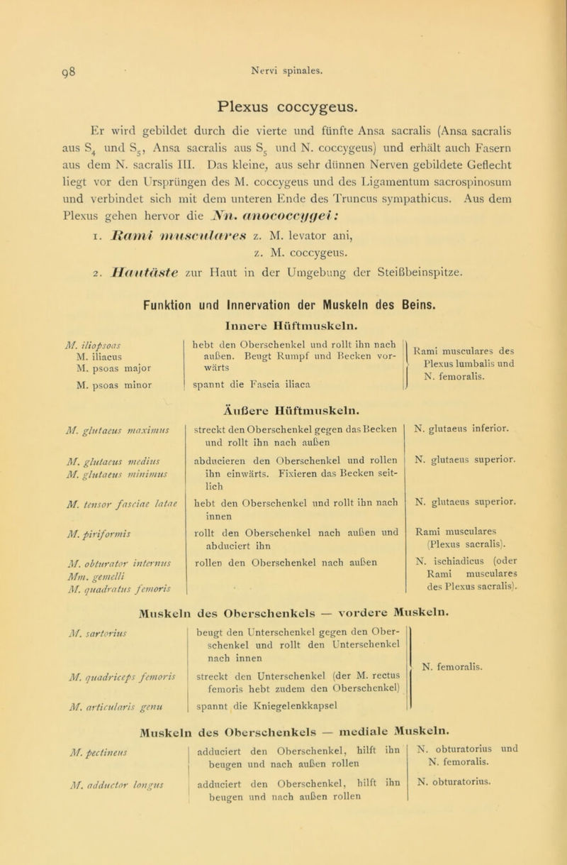 Plexus coccygeus. Er wird gebildet durch die vierte und fünfte Ansa sacralis (Ansa sacralis aus S4 und S5, Ansa sacralis aus S und N. coccygeus) und erhält auch Fasern aus dem N. sacralis III. Das kleine, aus sehr dünnen Nerven gebildete Geflecht liegt vor den Ursprüngen des M. coccygeus und des Ligamentum sacrospinosum und verbindet sich mit dem unteren Ende des Truncus sympathicus. Aus dem Plexus gehen hervor die Xil. anococcyyei : 1. Rcimi musculaves z. M. levator ani, z. M. coccygeus. 2. Hautäste zur Haut in der Umgebung der Steißbeinspitze. Funktion und Innervation der Muskeln des Beins. Innere Hüftmuskeln. M. iliopsoas M. iliacus M. psoas major M. psoas minor hebt den Oberschenkel und rollt ihn nach außen. Beugt Rumpf und Becken vor- wärts spannt die Fascia iliaca Rami musculares des Plexus lumbalis und N. femoralis. Äußere Hüftmuskeln. M. glutaeus maximus M. glutaeus medius M. glutaeus minbmis M. tensor fasciae latae M. piriformis M. obturator internus Min. gemelli M. quadratus femoris streckt den Oberschenkel gegen das Becken und rollt ihn nach außen abducieren den Oberschenkel und rollen ihn einwärts. Fixieren das Becken seit- lich hebt den Oberschenkel und rollt ihn nach innen rollt den Oberschenkel nach außen und abduciert ihn rollen den Oberschenkel nach außen N. glutaeus inferior. N. glutaeus superior. N. glutaeus superior. Rami musculares (Plexus sacralis). N. ischiadicus (oder Rami musculares des Plexus sacralis). Muskeln des Oberschenkels — vordere Muskeln. M. sartorius M. quadriceps femoris M. articularis genu beugt den Unterschenkel gegen den Ober- schenkel und rollt den Unterschenkel nach innen streckt den Unterschenkel (der M. rectus femoris hebt zudem den Oberschenkel) spannt die Kniegelenkkapsel N. femoralis. Muskeln des Oberschenkels — mediale Muskeln. M. pectineus M. adductor longus adduciert den Oberschenkel, hilft ihn beugen und nach außen rollen adduciert den Oberschenkel, hilft ihn beugen und nach außen rollen N. obturatorius und N. femoralis. N. obturatorius.